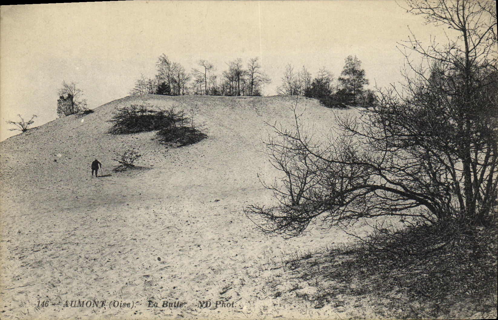 POSTAL Aumont Buile de la VENDIMIA