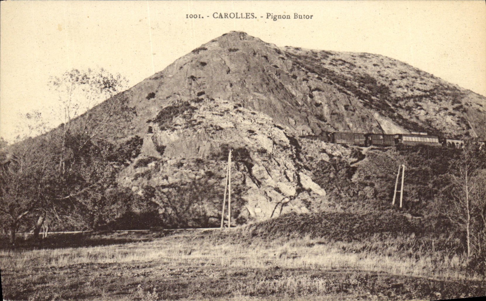 VINTAGE POSTCARD Carolles Pinion Bittern Train