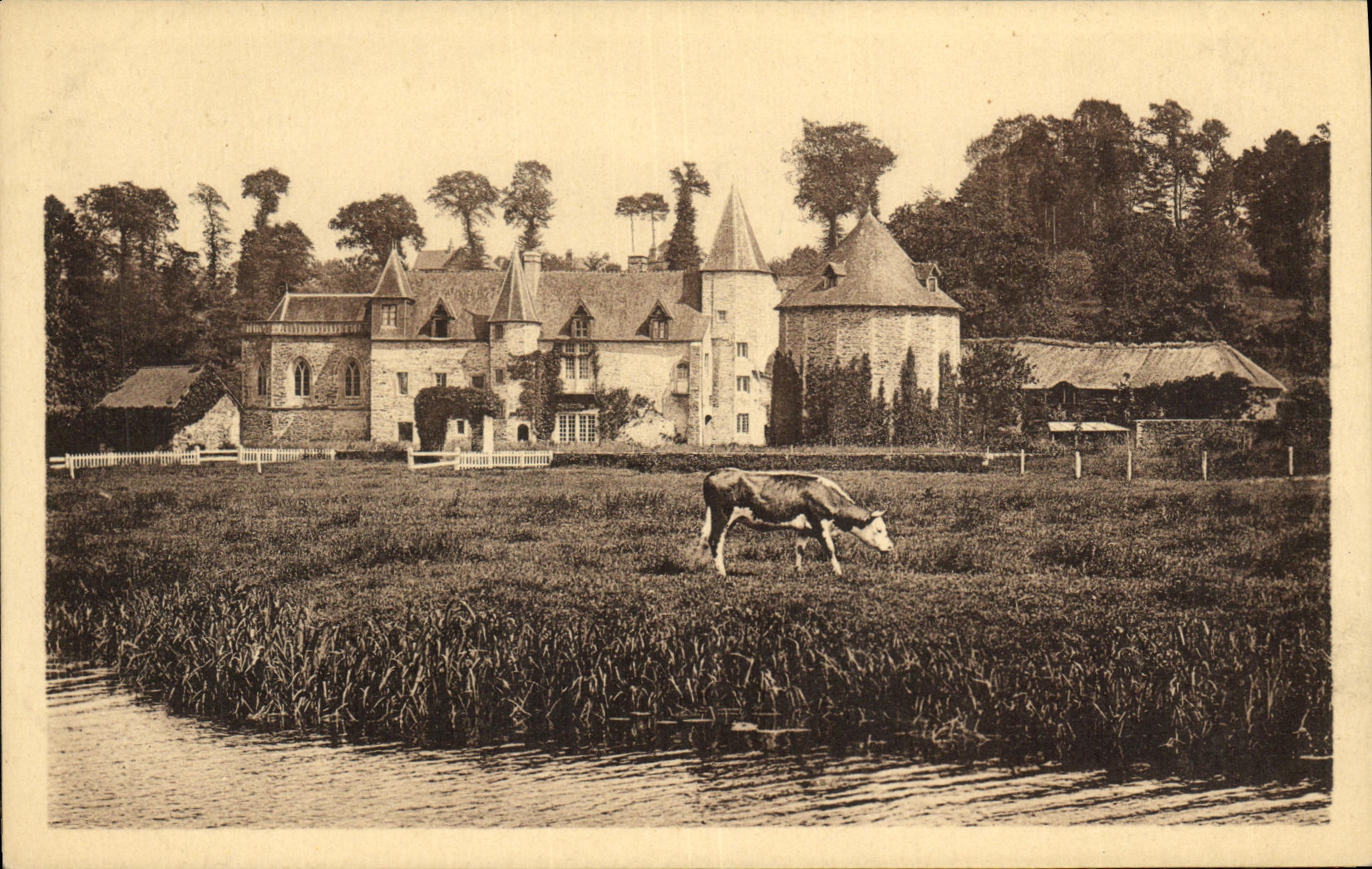 VINTAGE POSTCARD Surroundings of St the castle of Vaucelles Cows Dovecote