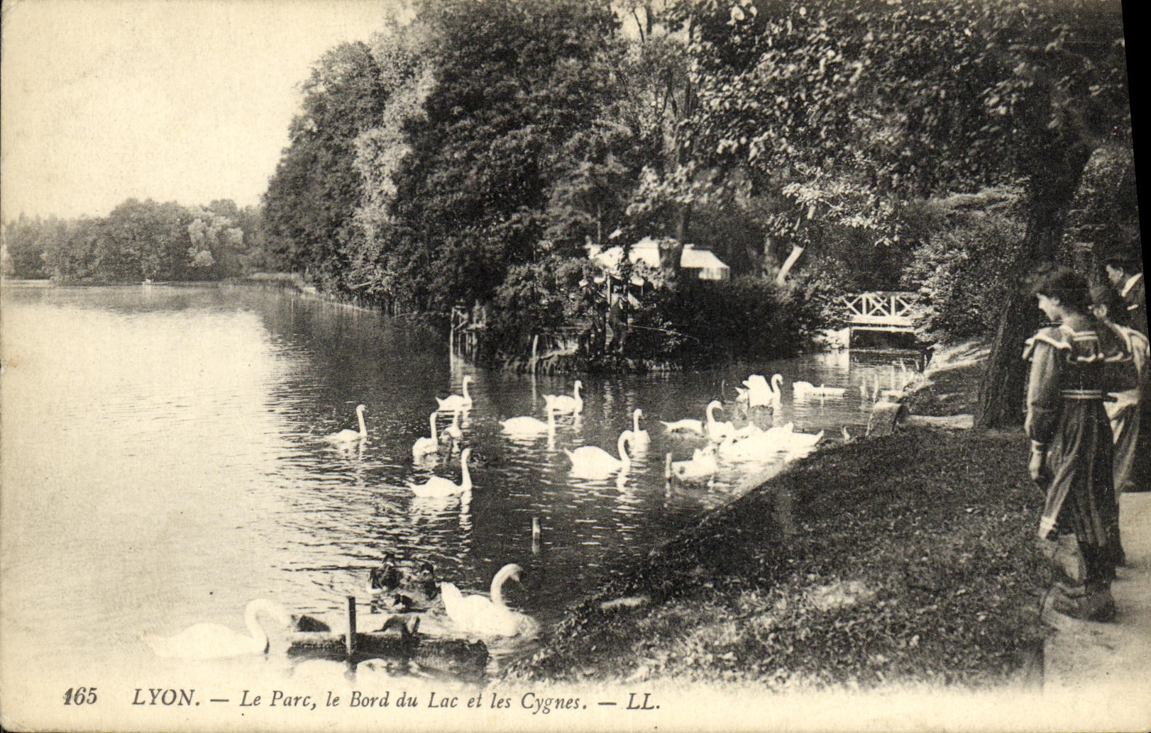 VINTAGE POSTCARD Lyon the Park the Edge of the Lake and Swans