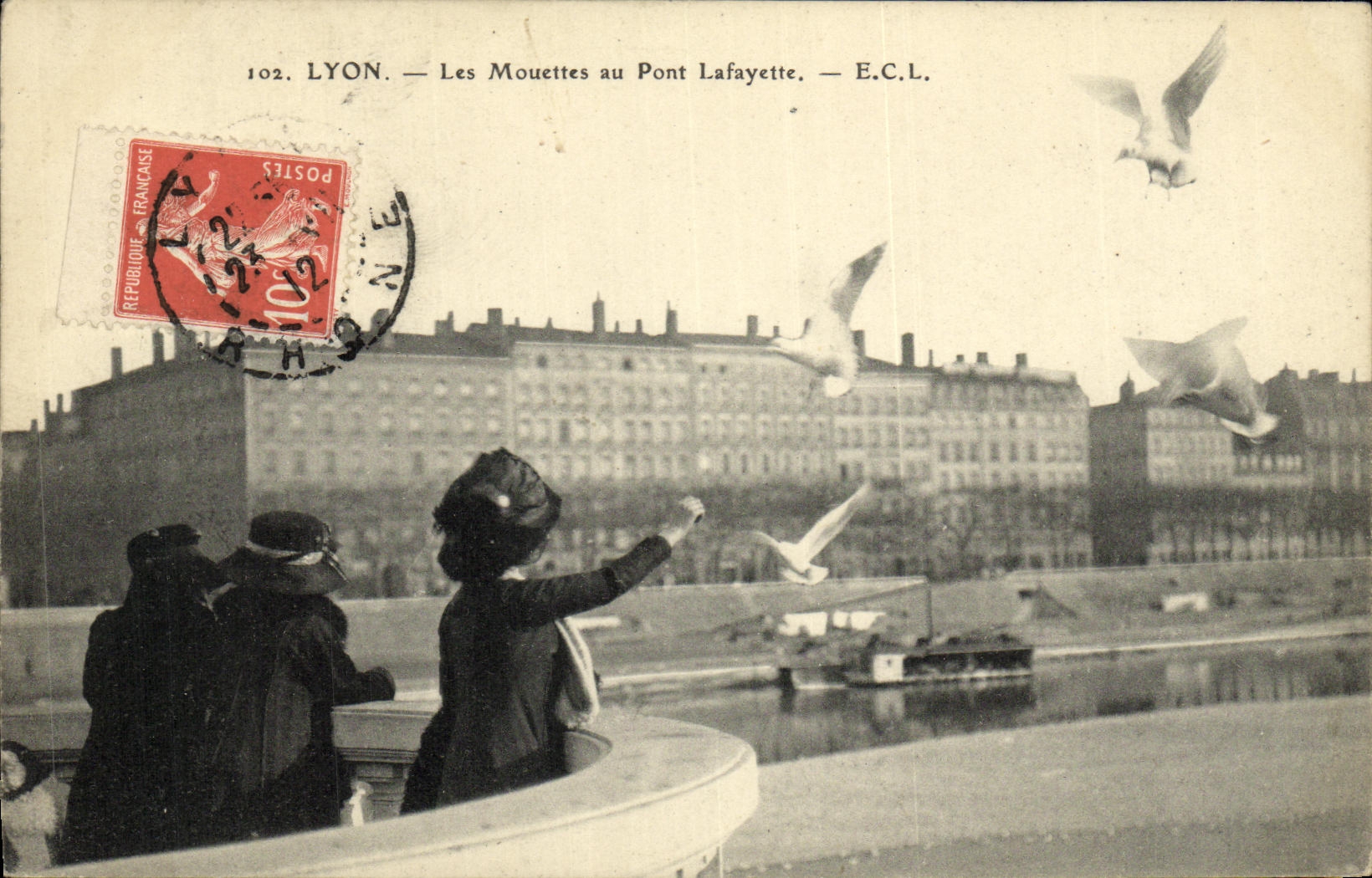 VINTAGE POSTCARD Lyon Gulls with the Bridge Lafayette Birds