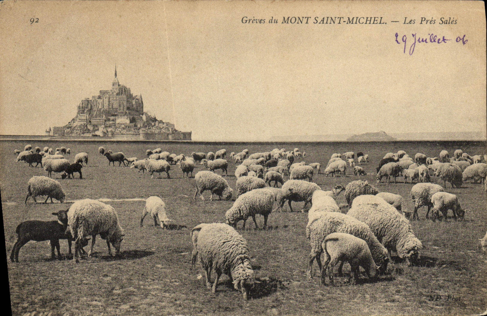 CPA La Mont Saint Michel Les Pres Sales Moutons
