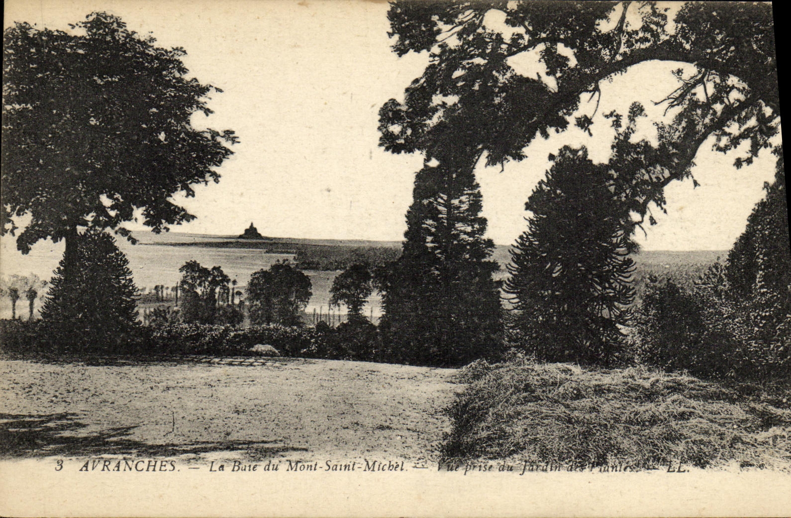 POSTAL Avranches de la VENDIMIA la bahia de Mont Saint Michel