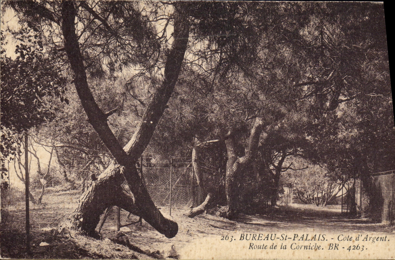 Dinero de la ruta de las dimensiones D del paladar del St de la oficina de la POSTAL de la VENDIMIA de la cornisa
