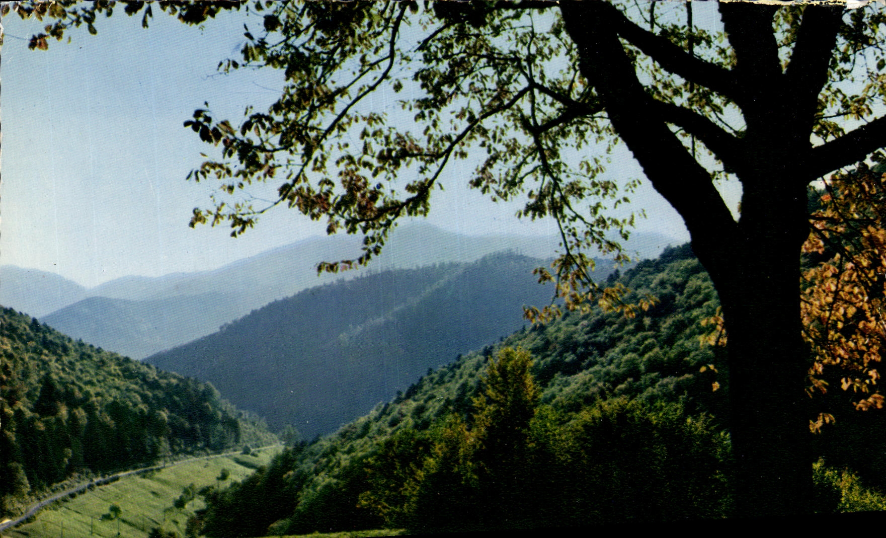 CPM Les Vosges Pittoresques La route des Cretes