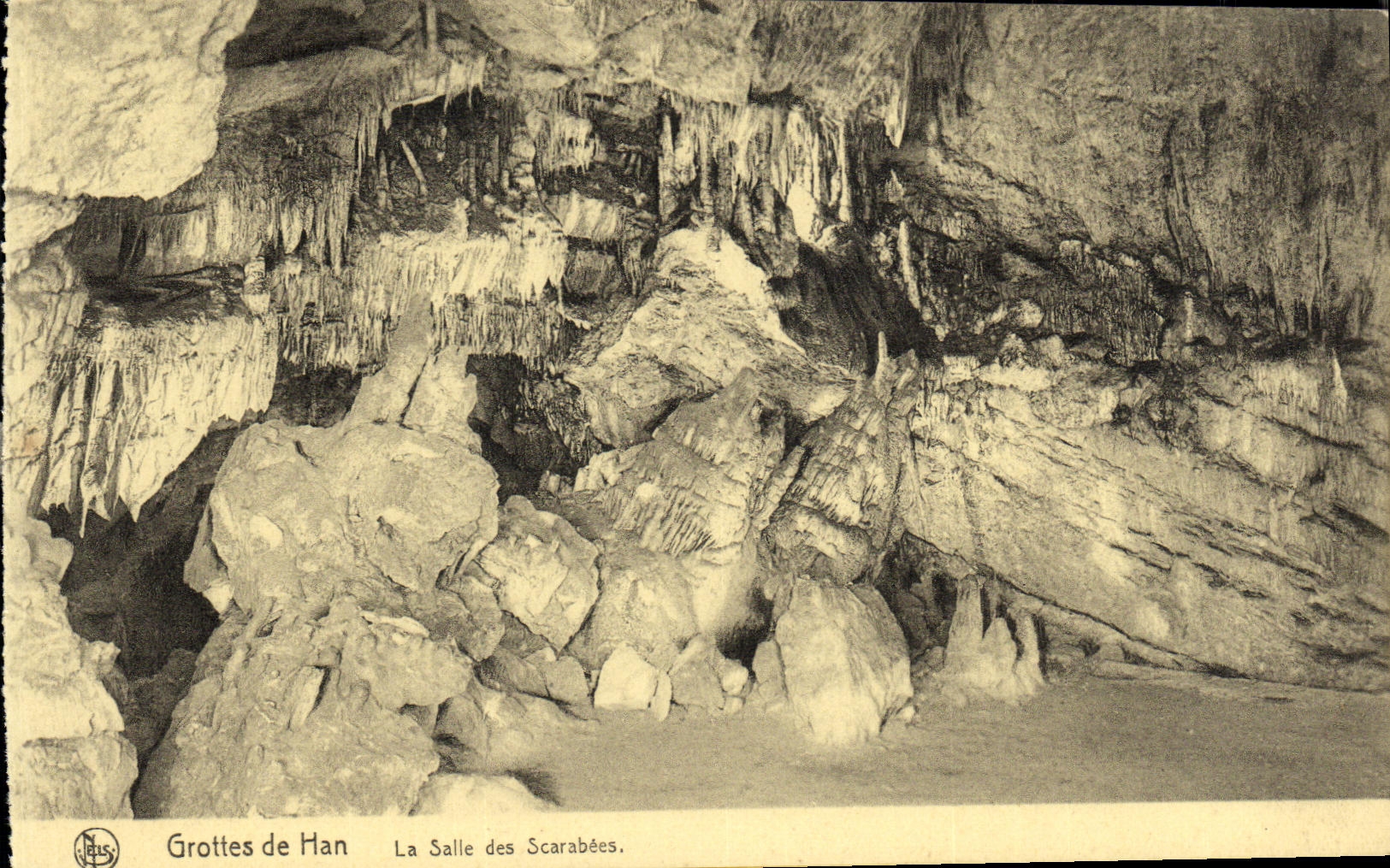 VINTAGE POSTCARD Caves of Han the Room of Scarab3ee Insects