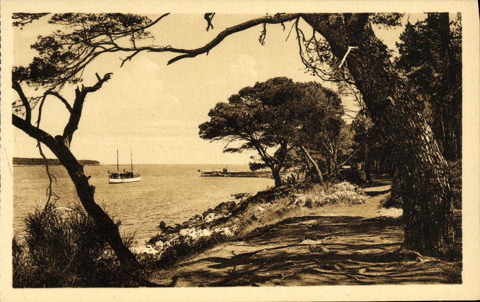 VINTAGE POSTCARD Island Saint Honorat Boat of Service Close D to arrive has L island