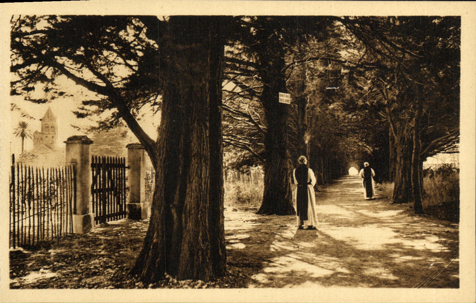 Isla Honorat de la POSTAL de la VENDIMIA Saint ido de los cisnes que llevan al monasterio