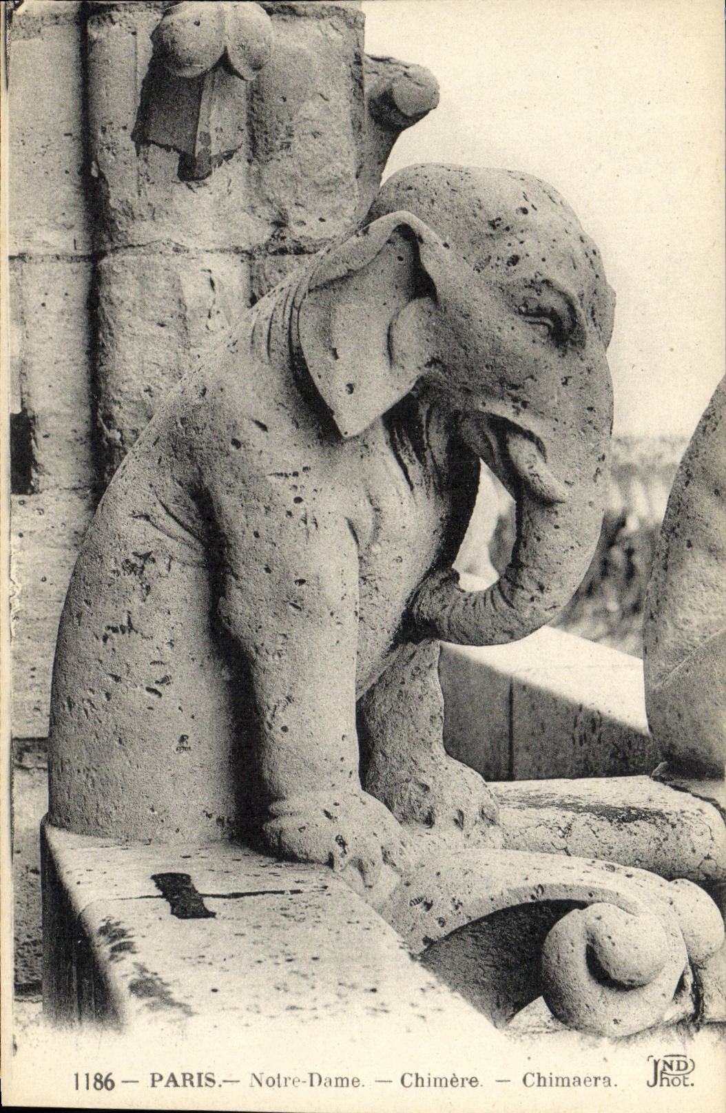 VINTAGE POSTCARD Paris Notre Dame Dream Elephant