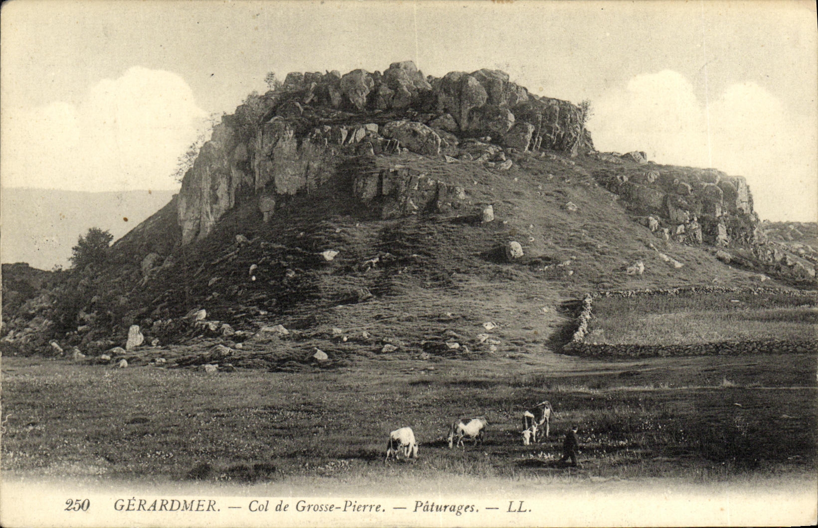 CPA Gerardmer Col de Grosse Pierre Paturages Vaches