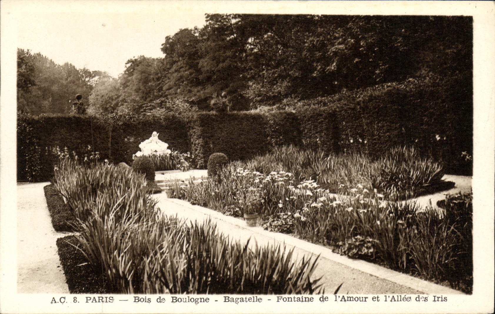 CPA Paris Bois de Boulogne Bagatelle Fontaine de l Amour et l Allee des Iris