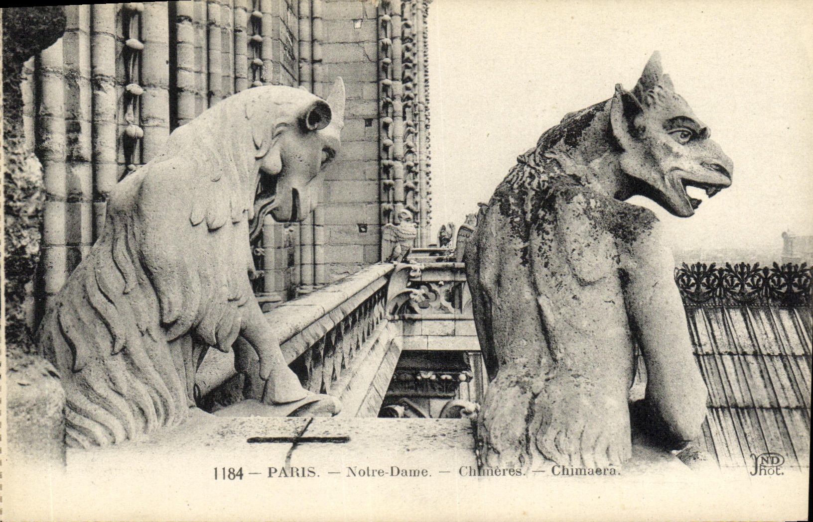 VINTAGE POSTCARD Paris Notre Dame Dreams Devil