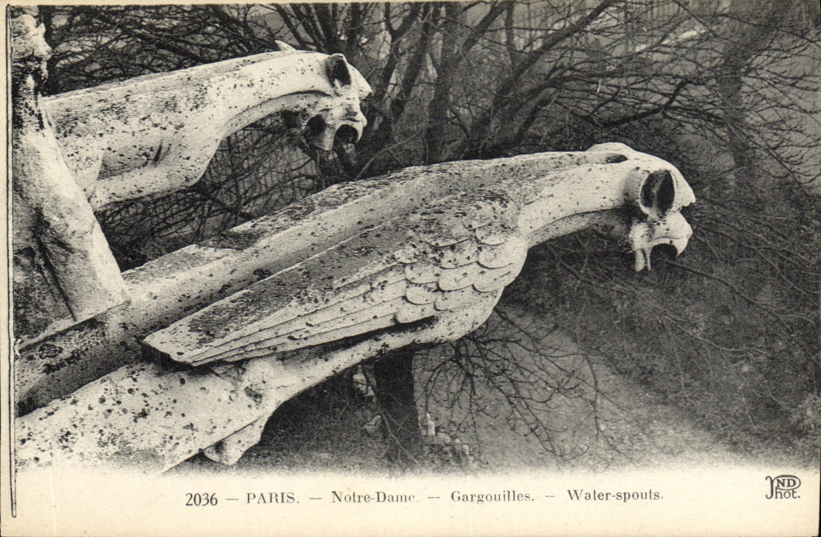 CPA Paris Notre Dame Gargouilles