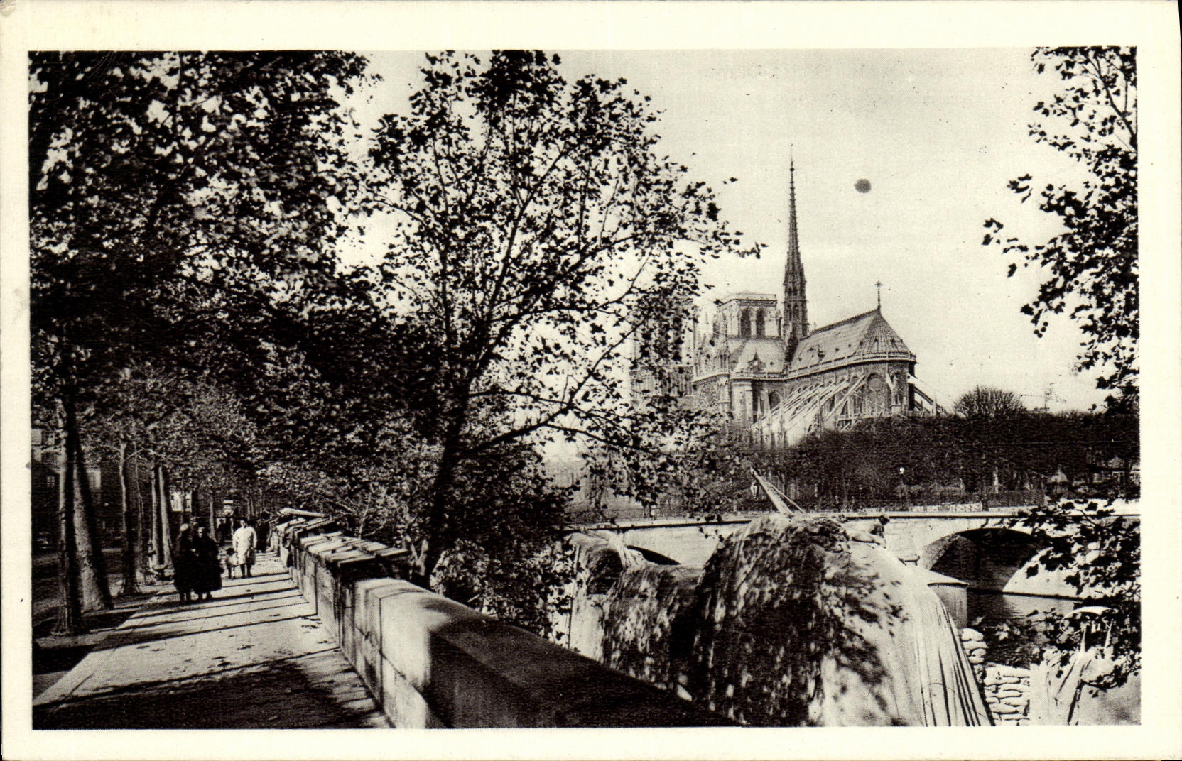 VINTAGE POSTCARD Paris the Notre Dame Quays