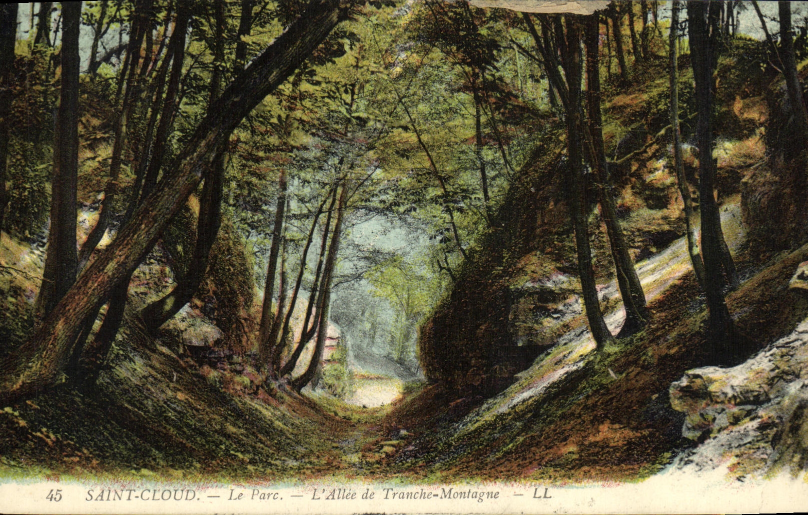 VINTAGE POSTCARD Holy Cloud the park L Gone of Section Mountain