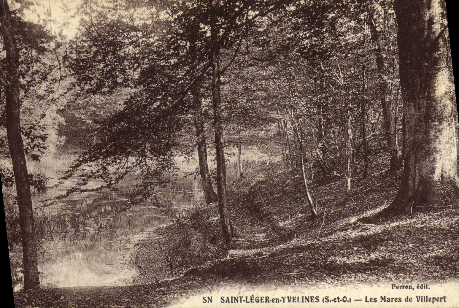 CPA Saint Leger en Yvelines Les Mares de Villepert