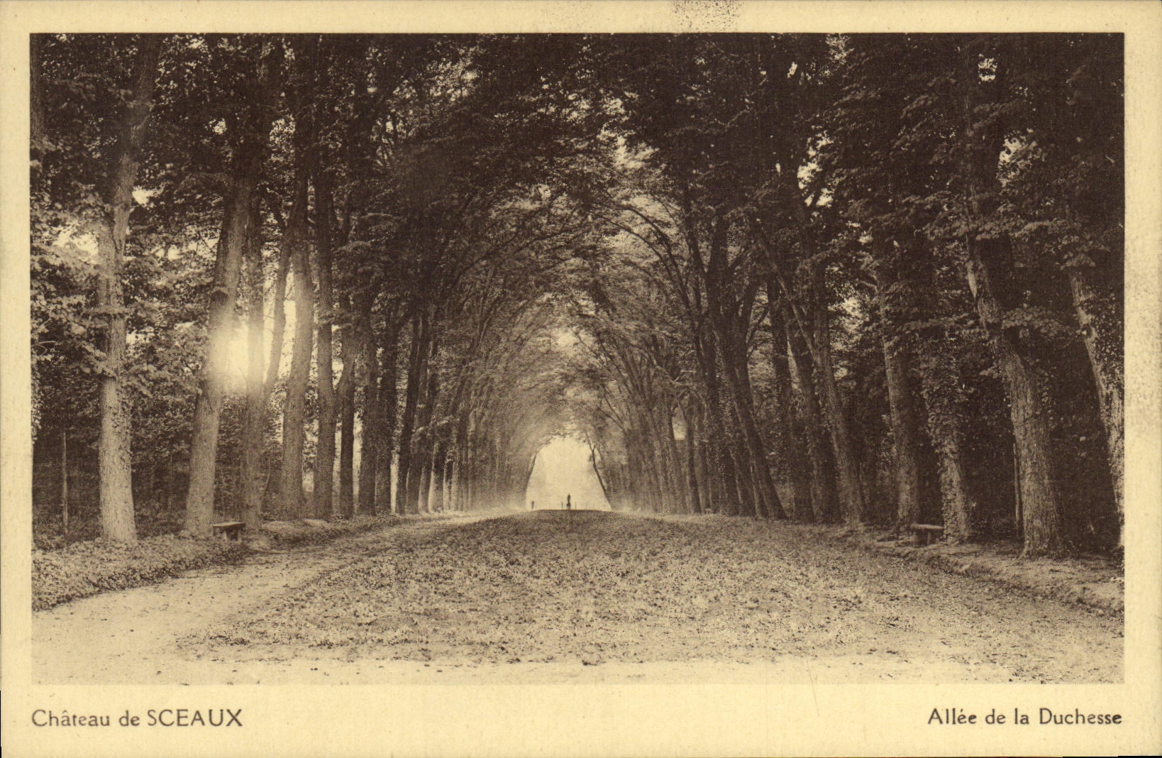 Castillo de la POSTAL de la VENDIMIA de los sellos idos de la duquesa