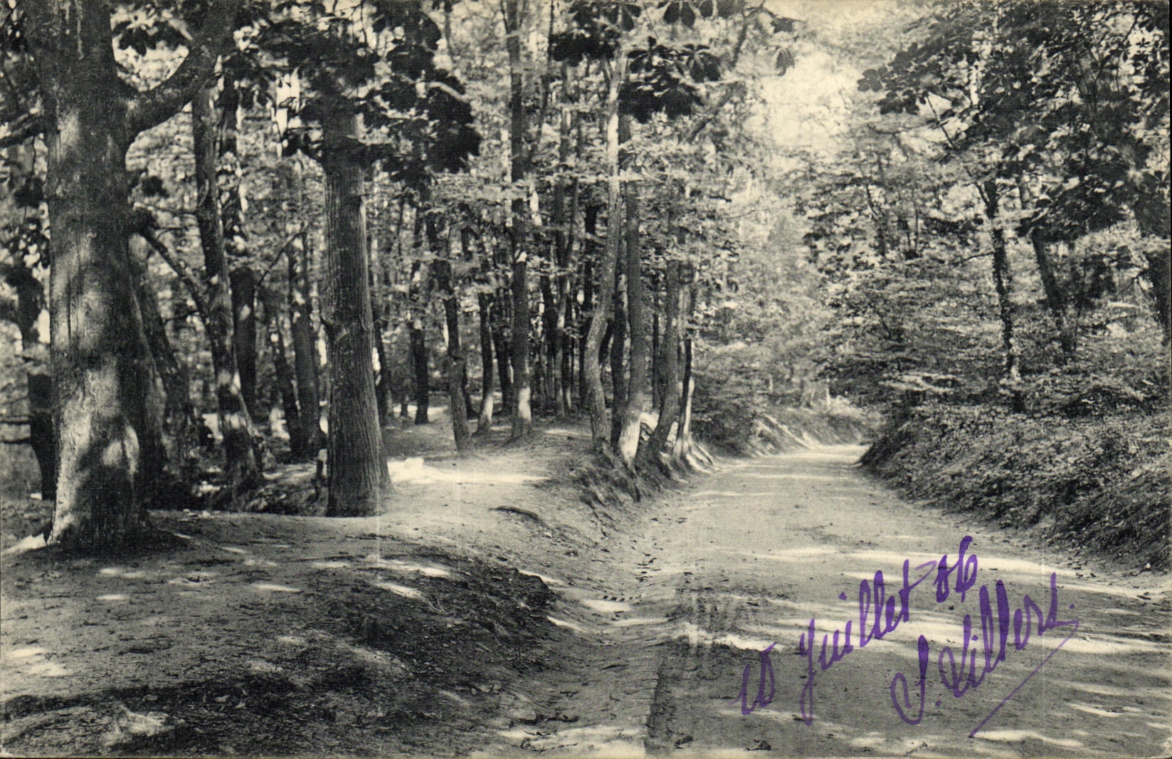 VINTAGE POSTCARD Saint Cloud Parc of Alley of Marnes Route of the white Gate to the lawn of Combleval de Marnes has Garche