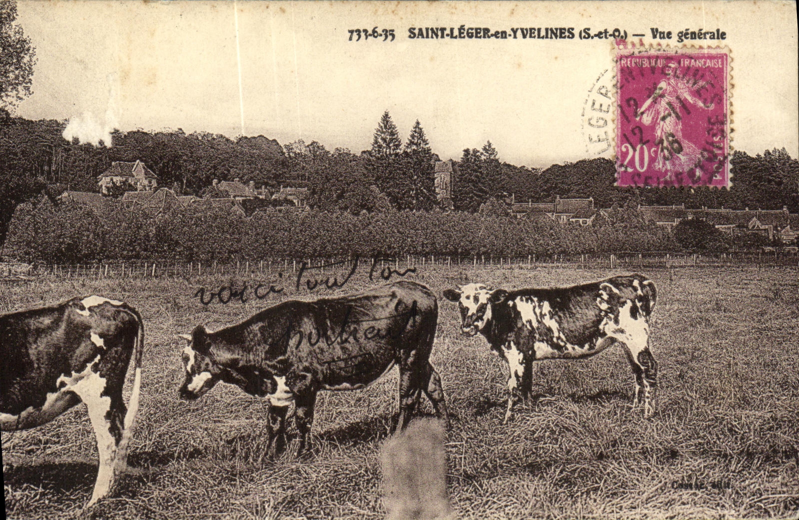 CPA St Leger En Yvelines Vue Generale Vaches