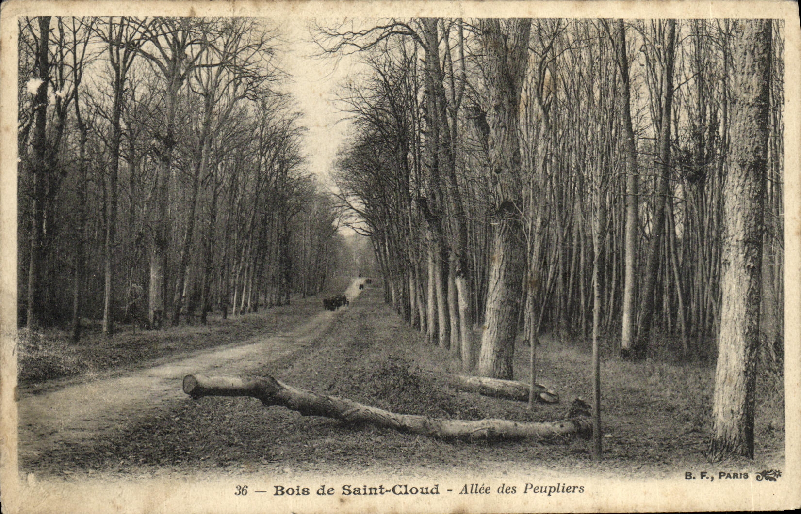 VINTAGE POSTCARD Holy Cloud Wood Gone of the Poplars