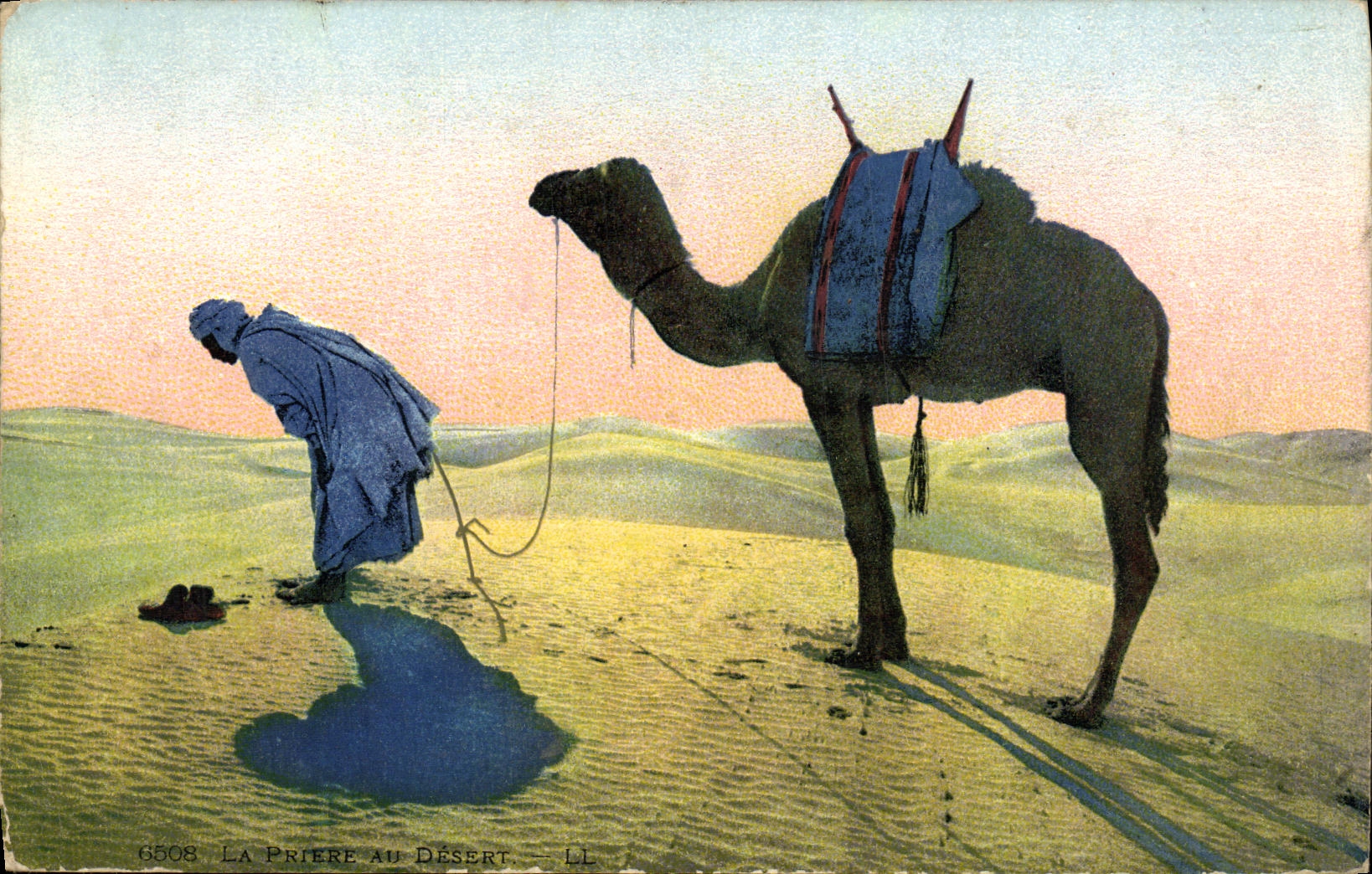 CPA La priere dans le desert Chameau