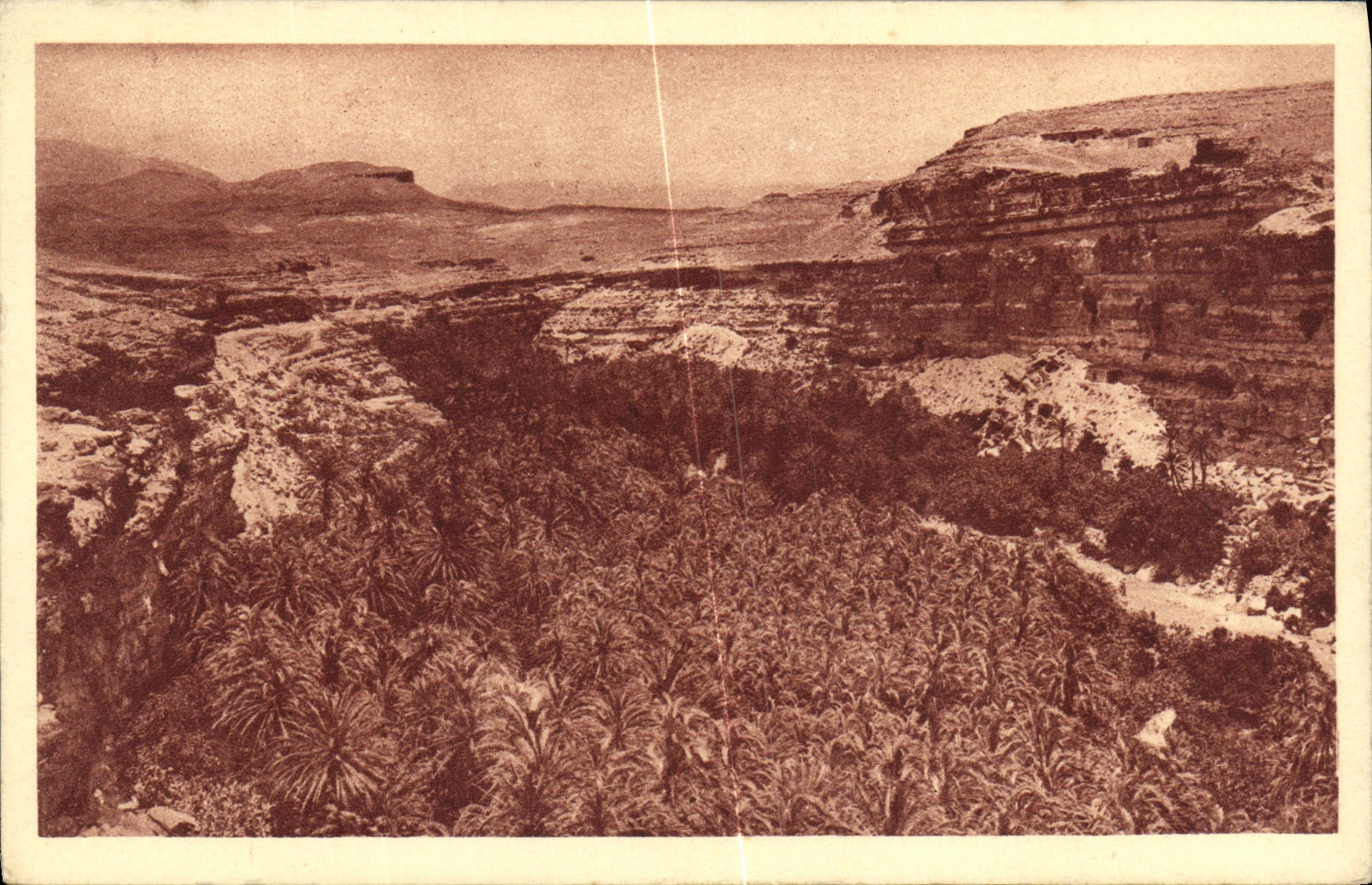 CPA Aures Palmeraie de Roufi