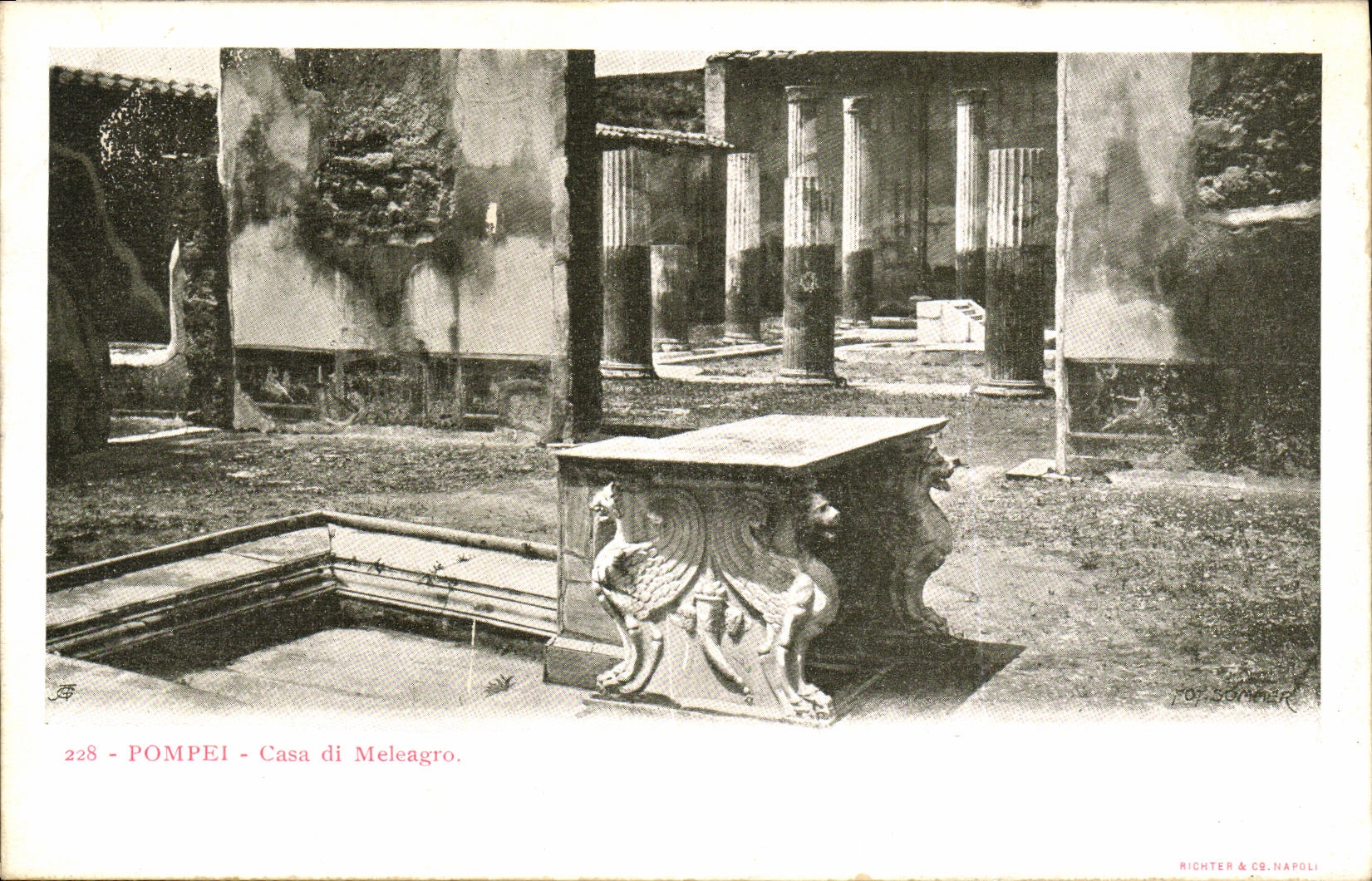 La POSTAL Pompeya de la VENDIMIA puso a di Meleagro