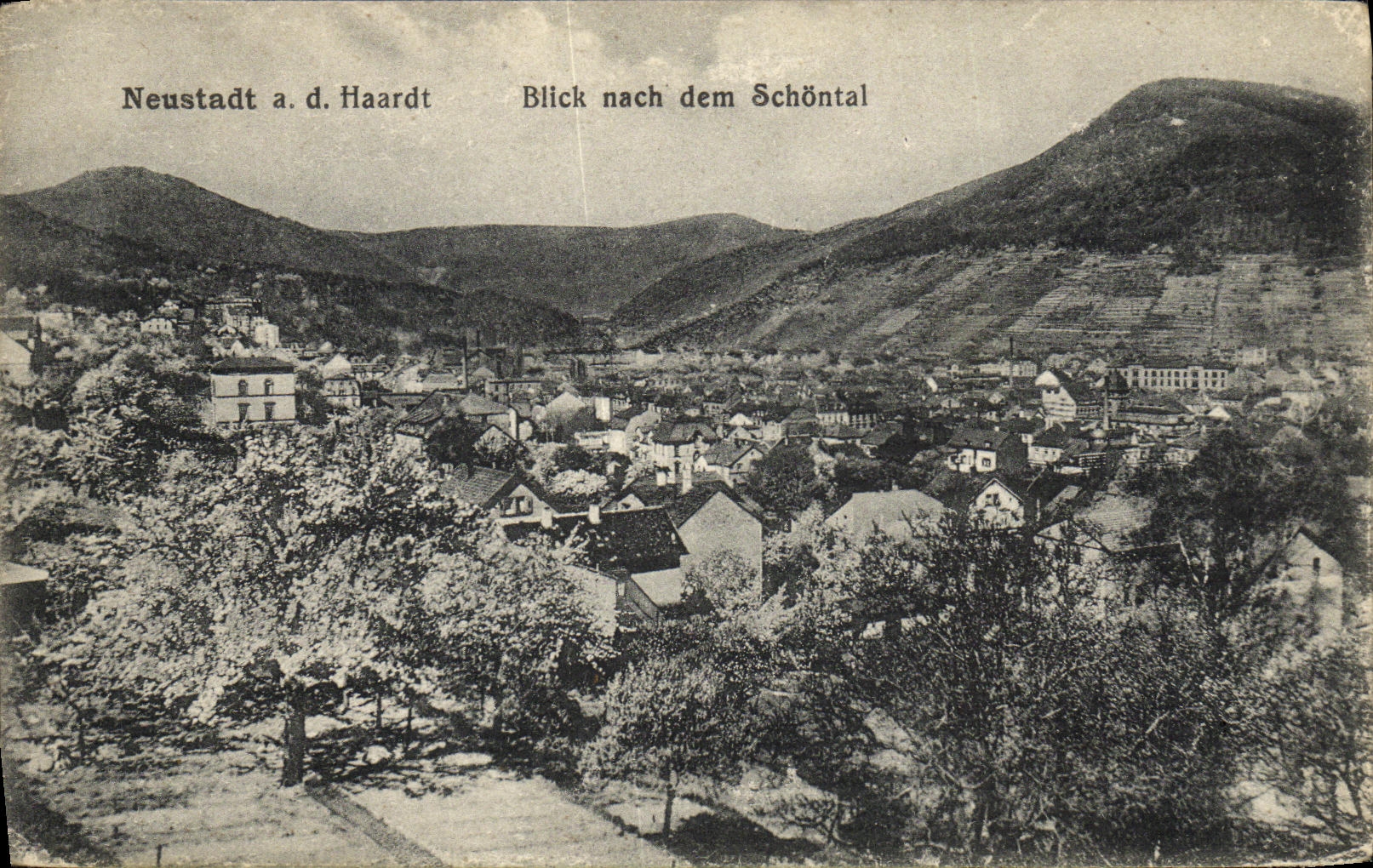 CPA Neustadt AD Haardt Blick nach dem Schontal