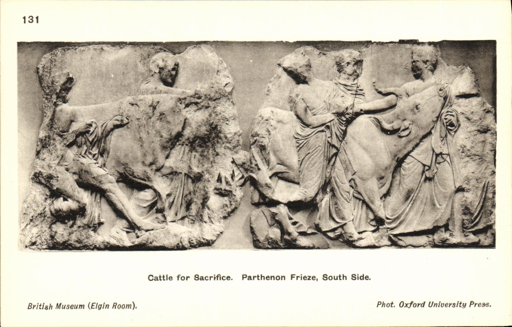VINTAGE POSTCARD Cattle for Sacrifice Parthenon Frieze South Side British Museum