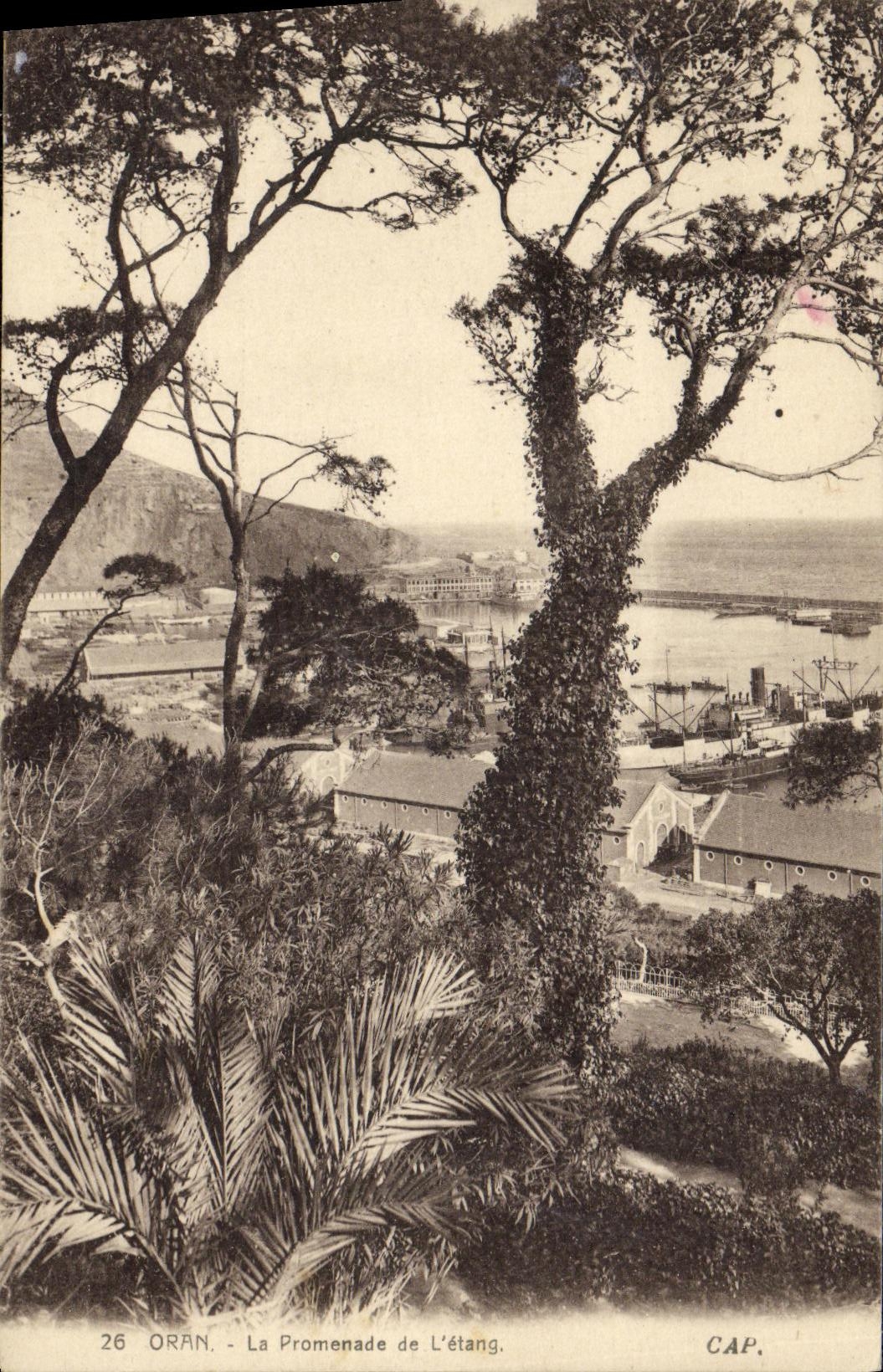 POSTAL Oran de la VENDIMIA la caminata de L charca