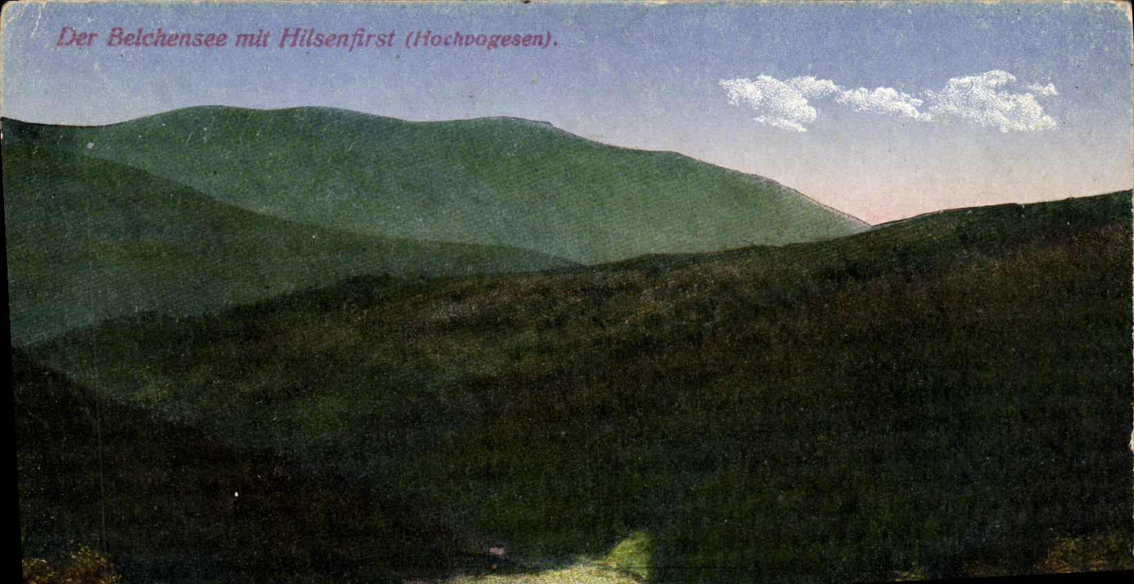 VINTAGE POSTCARD Der Beichensee MIT Hilsenfirsen