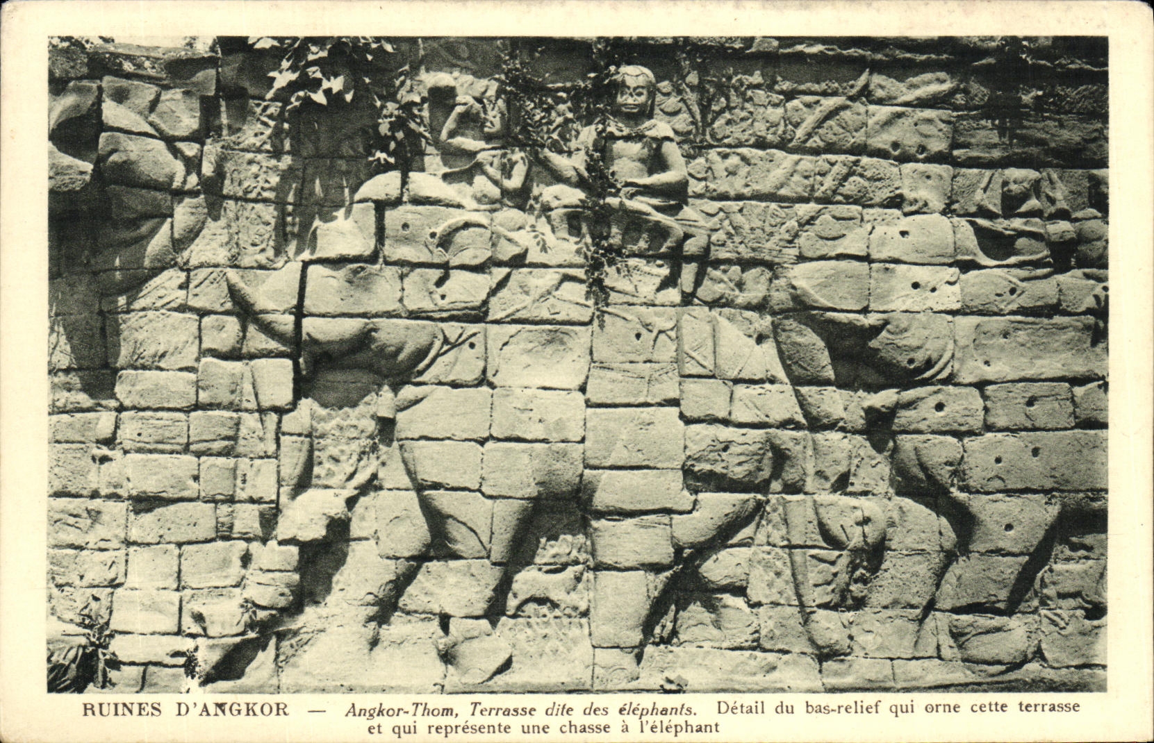 La POSTAL de la VENDIMIA arruina la terraza de D Angkor Angkor sabida en fecha los elefantes de Cambordge