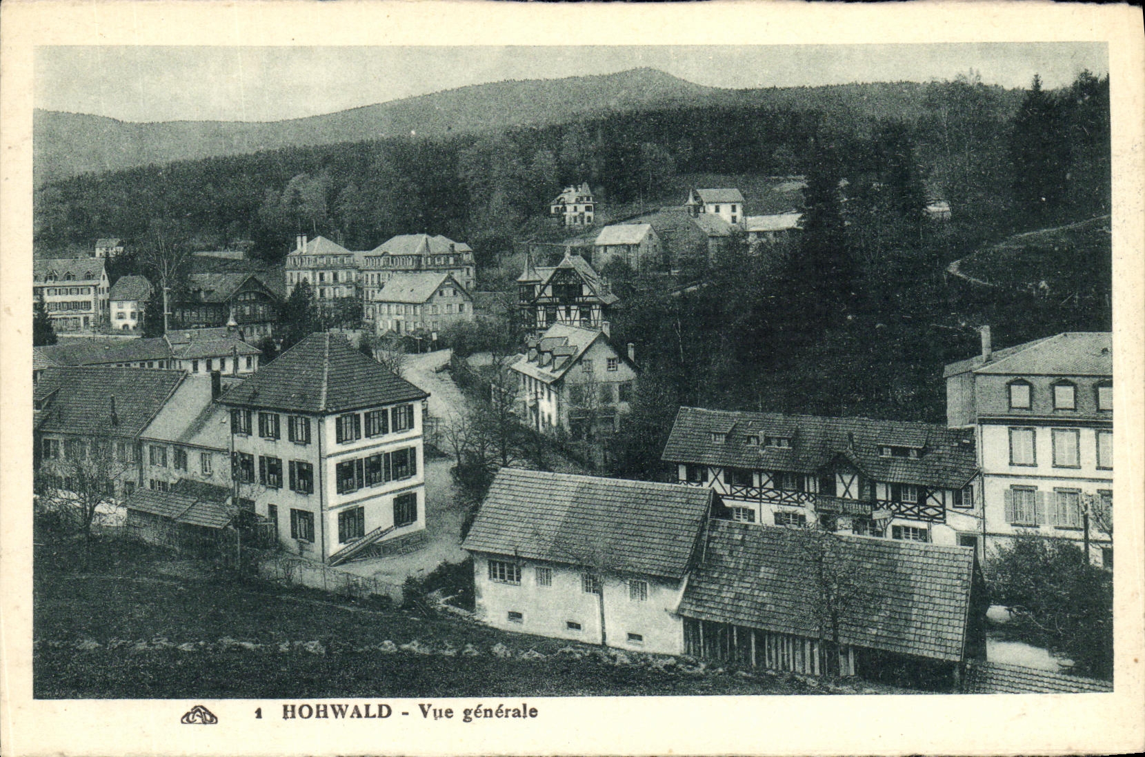 VINTAGE POSTCARD Hohwalo View