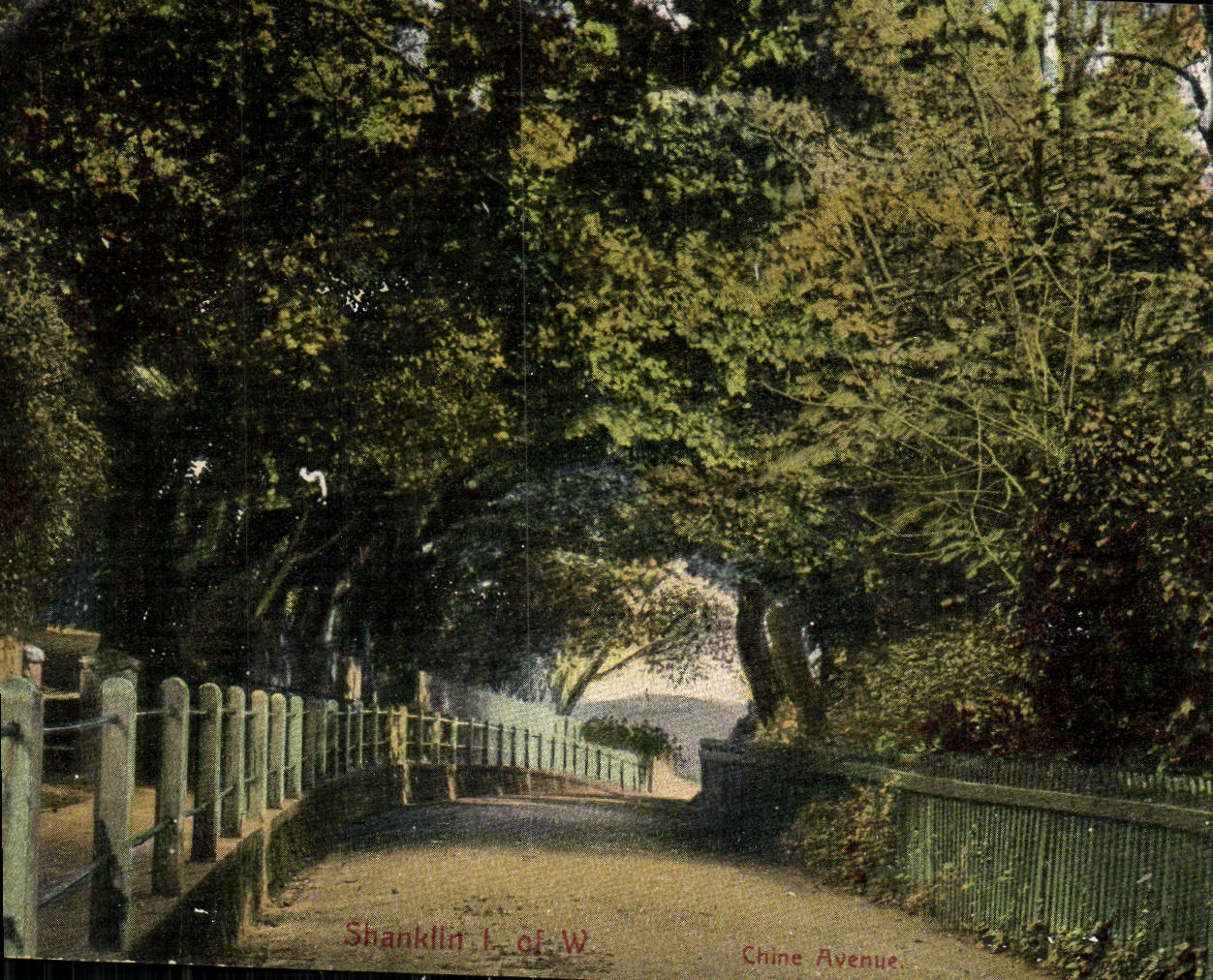 VINTAGE POSTCARD Shanklin Isle off Wight China Which occurred