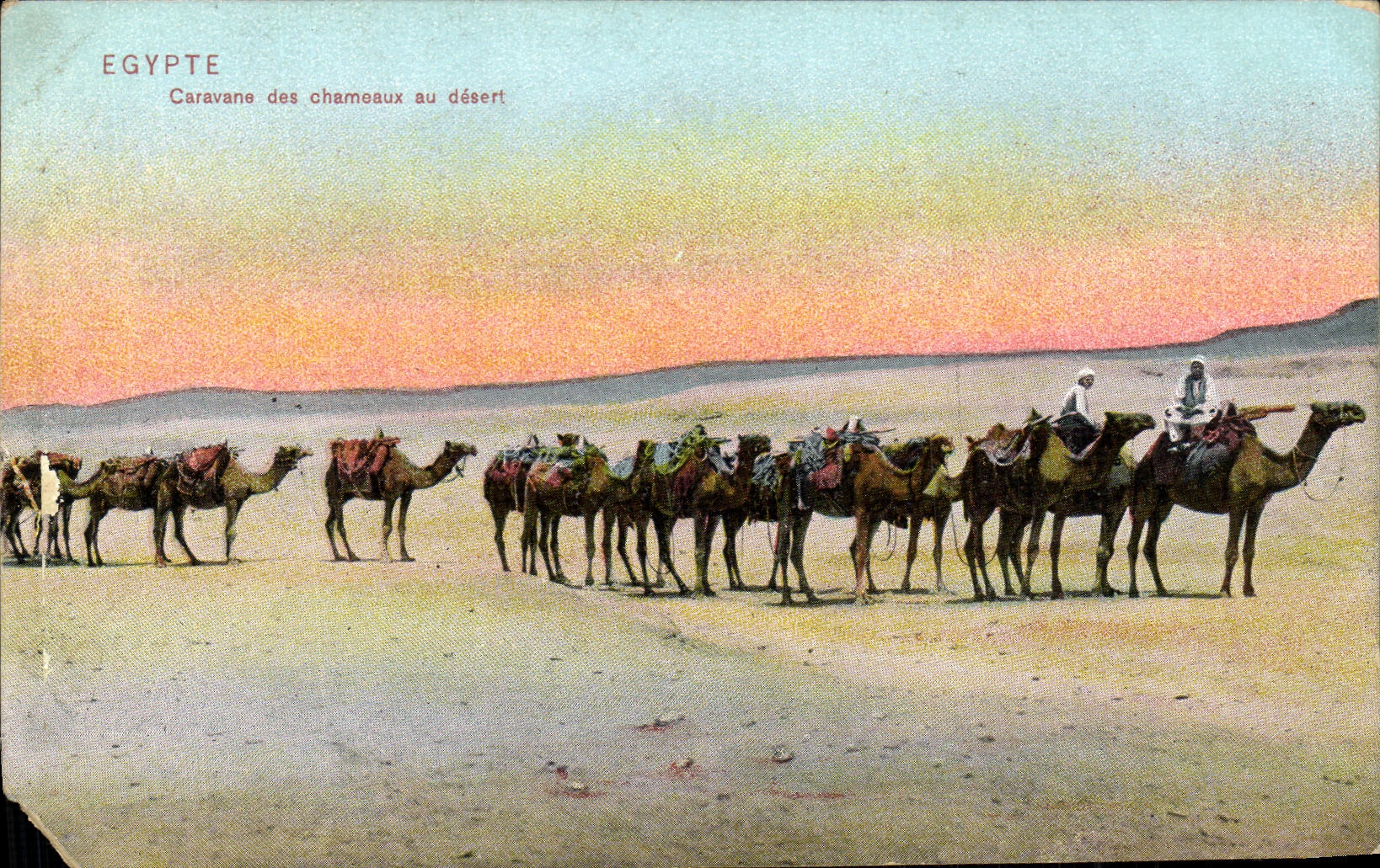 POSTAL Egipto Caravane de la VENDIMIA de los camellos con servicios