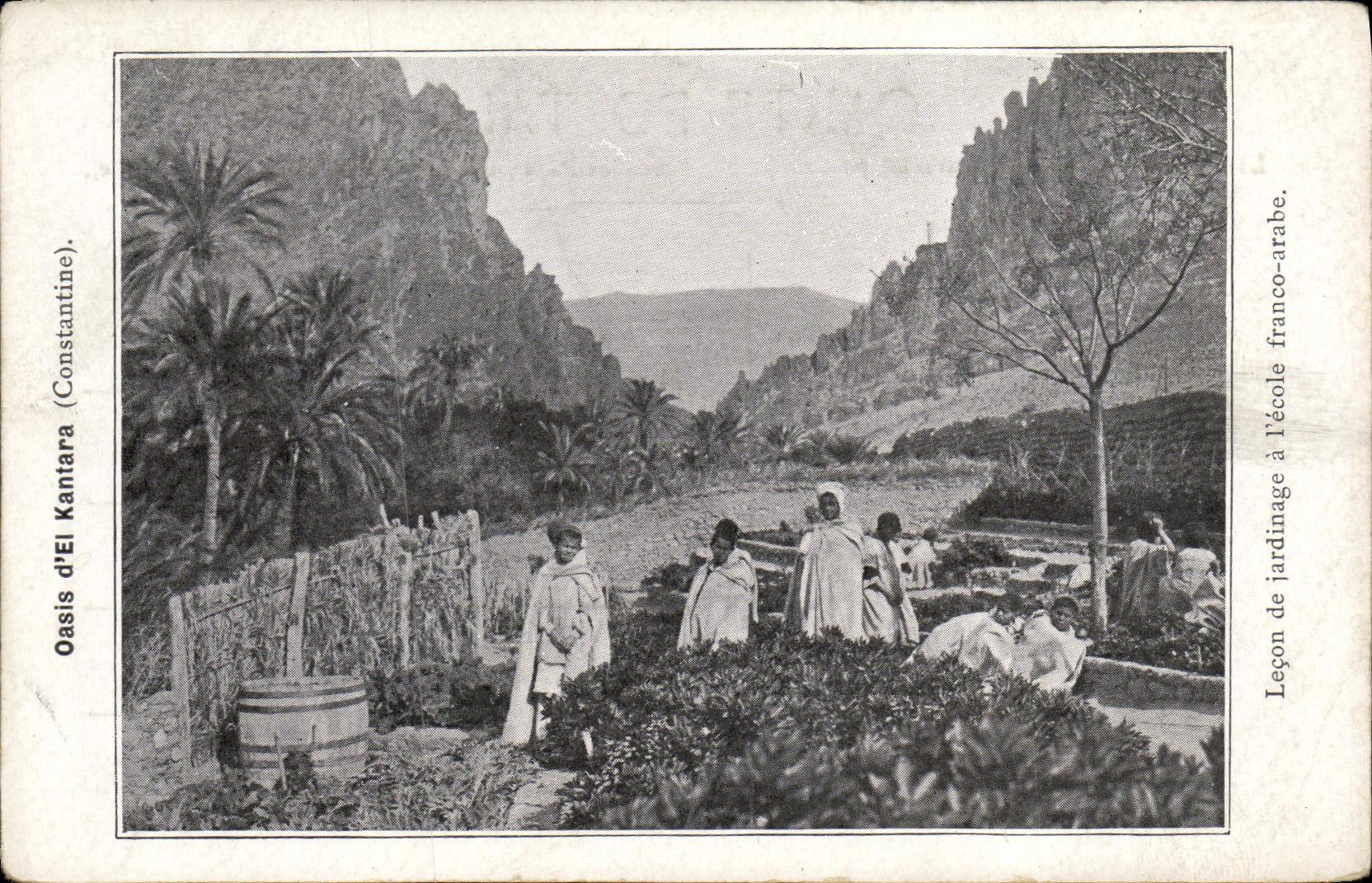 CPA Oasis d eL Kantara Contantine Lecon de jardinage a l ecole franco arabe