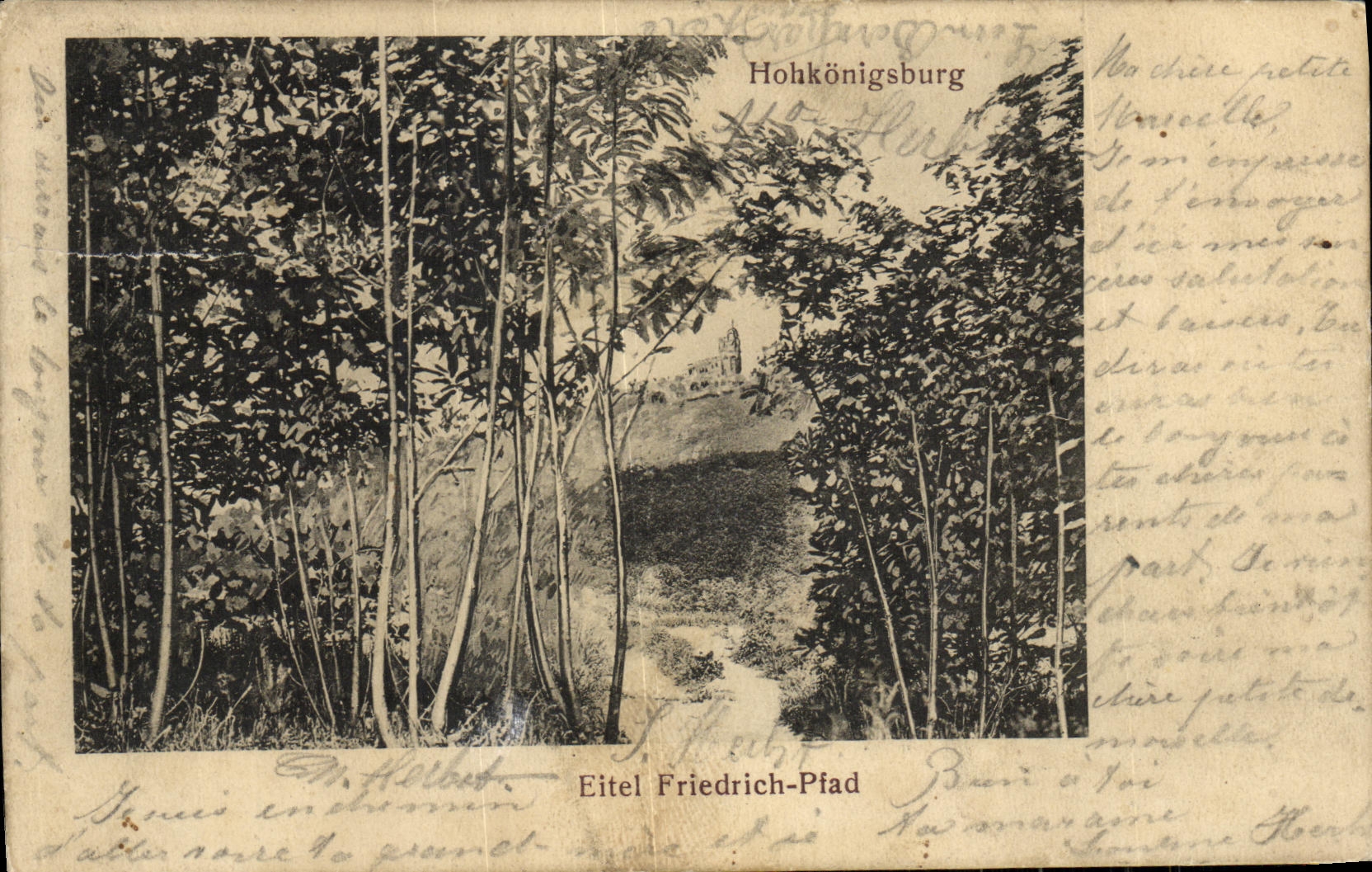 VINTAGE POSTCARD Eitel Friedrich Piad Hockoningsburg