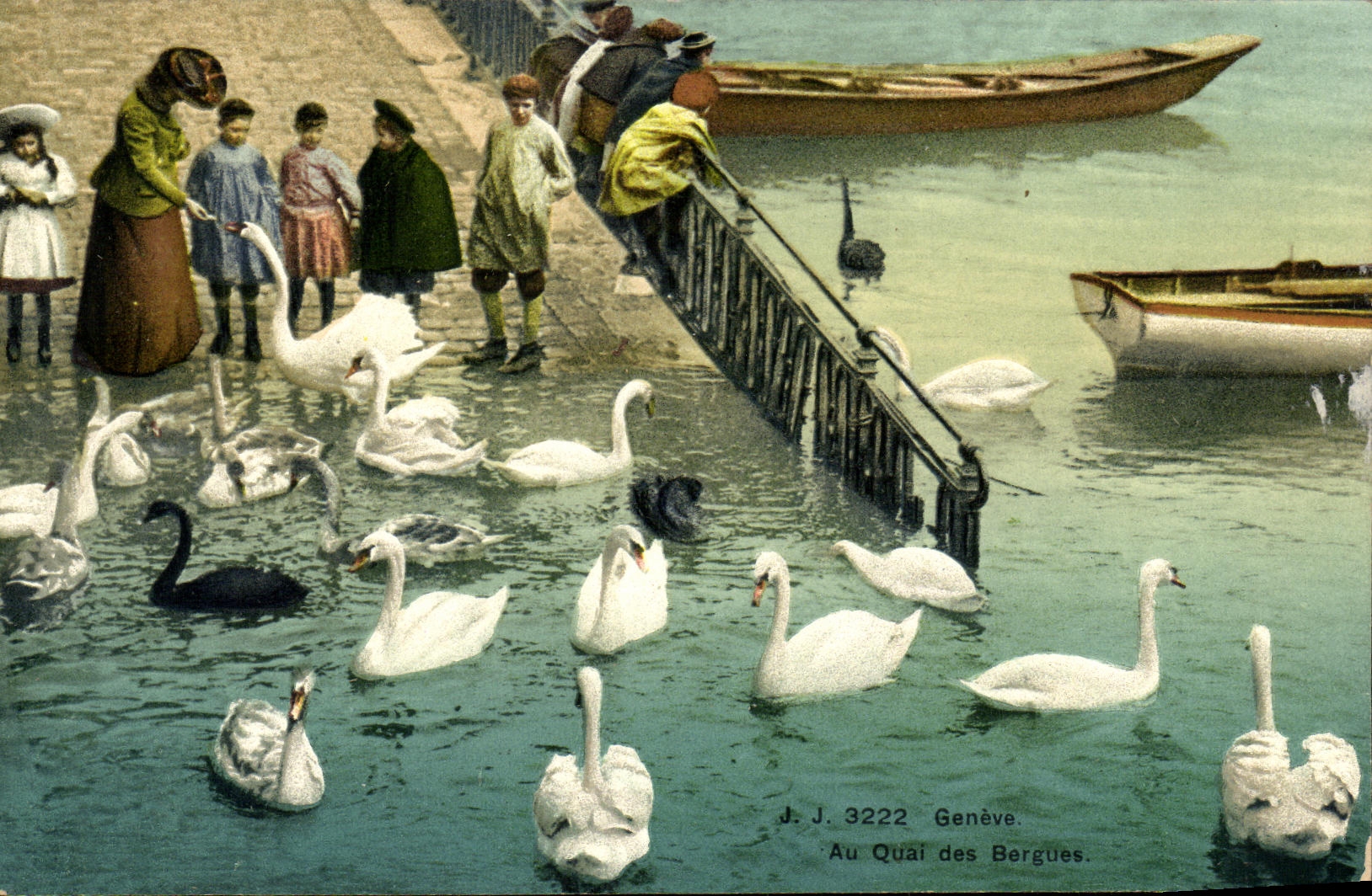 VINTAGE POSTCARD Geneva With the Quay of Bergues Swans