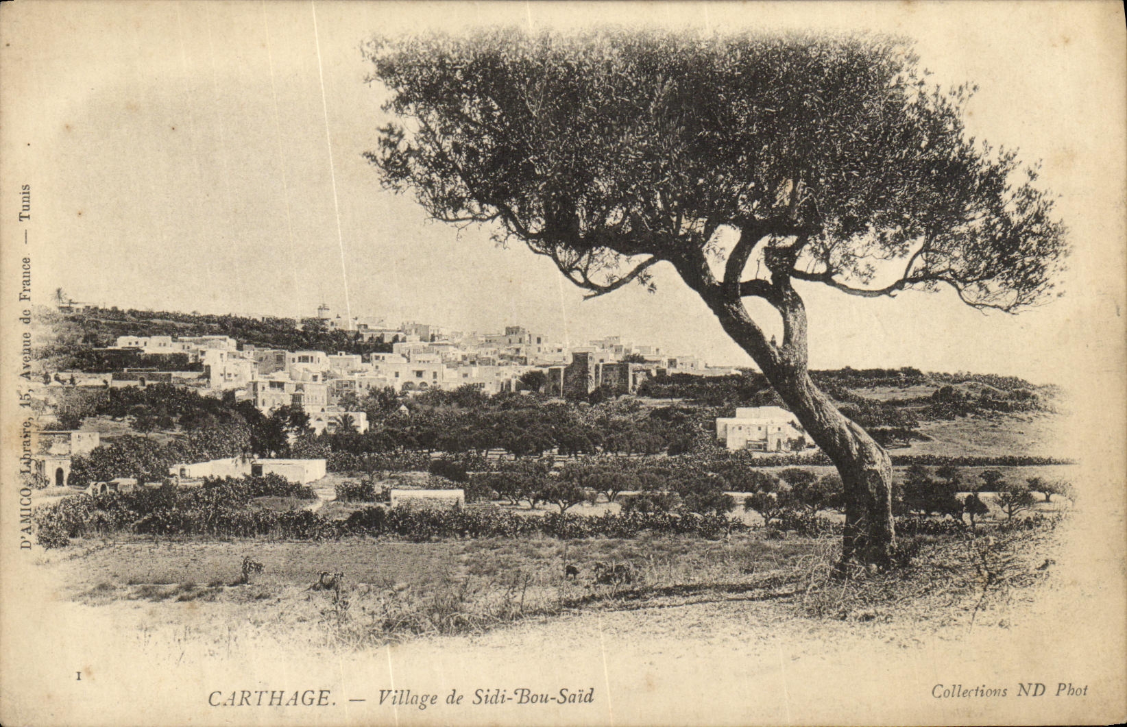 CPA Carthage Village de Sidi Bou Said