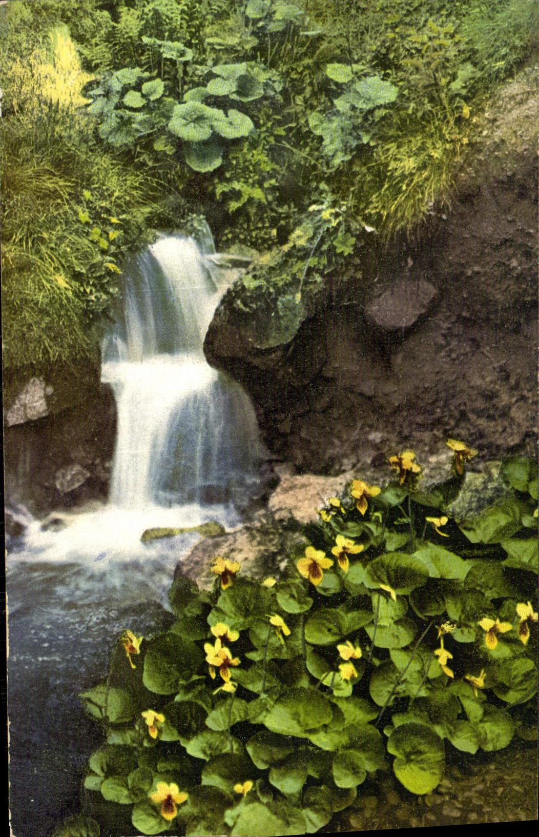 CPA Aus Rubezahls Garten