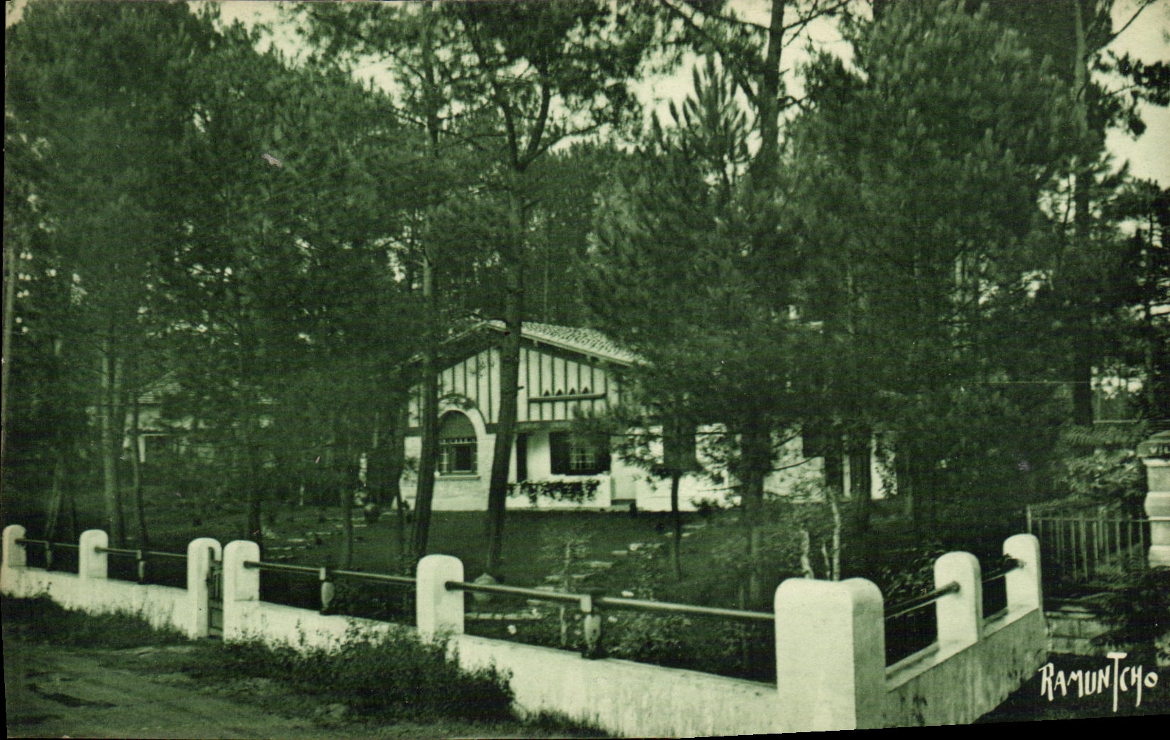 VINTAGE POSTCARD Etude has Hossegor