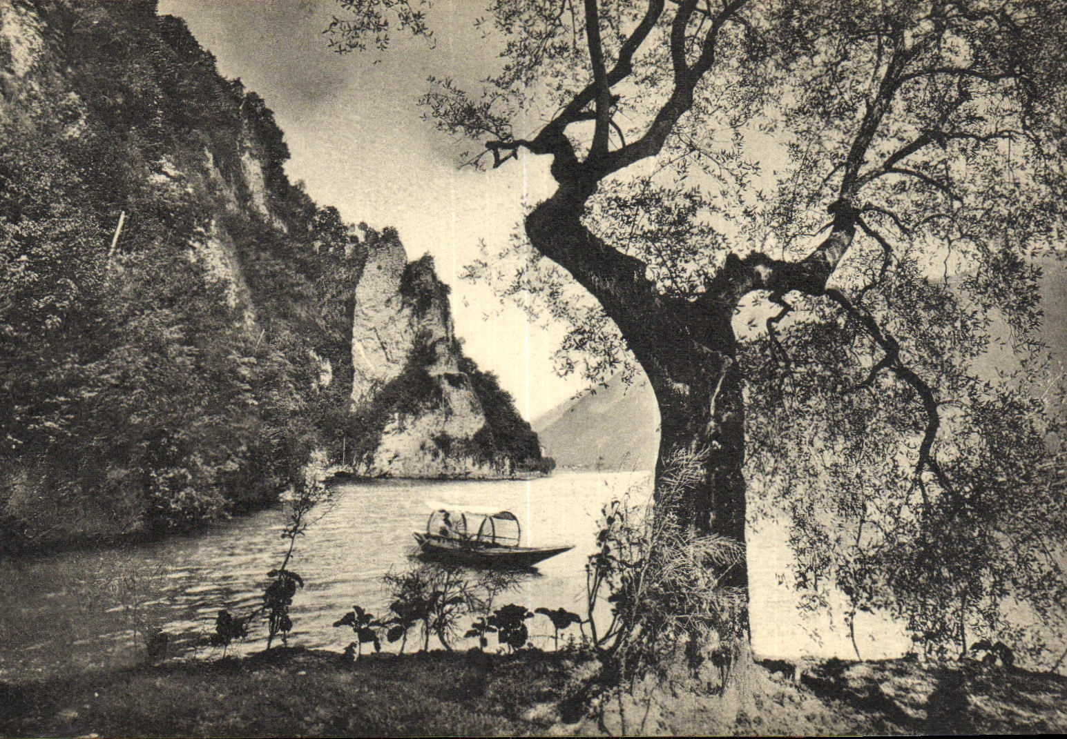 POSTAL Sasso di Gandria de la VENDIMIA