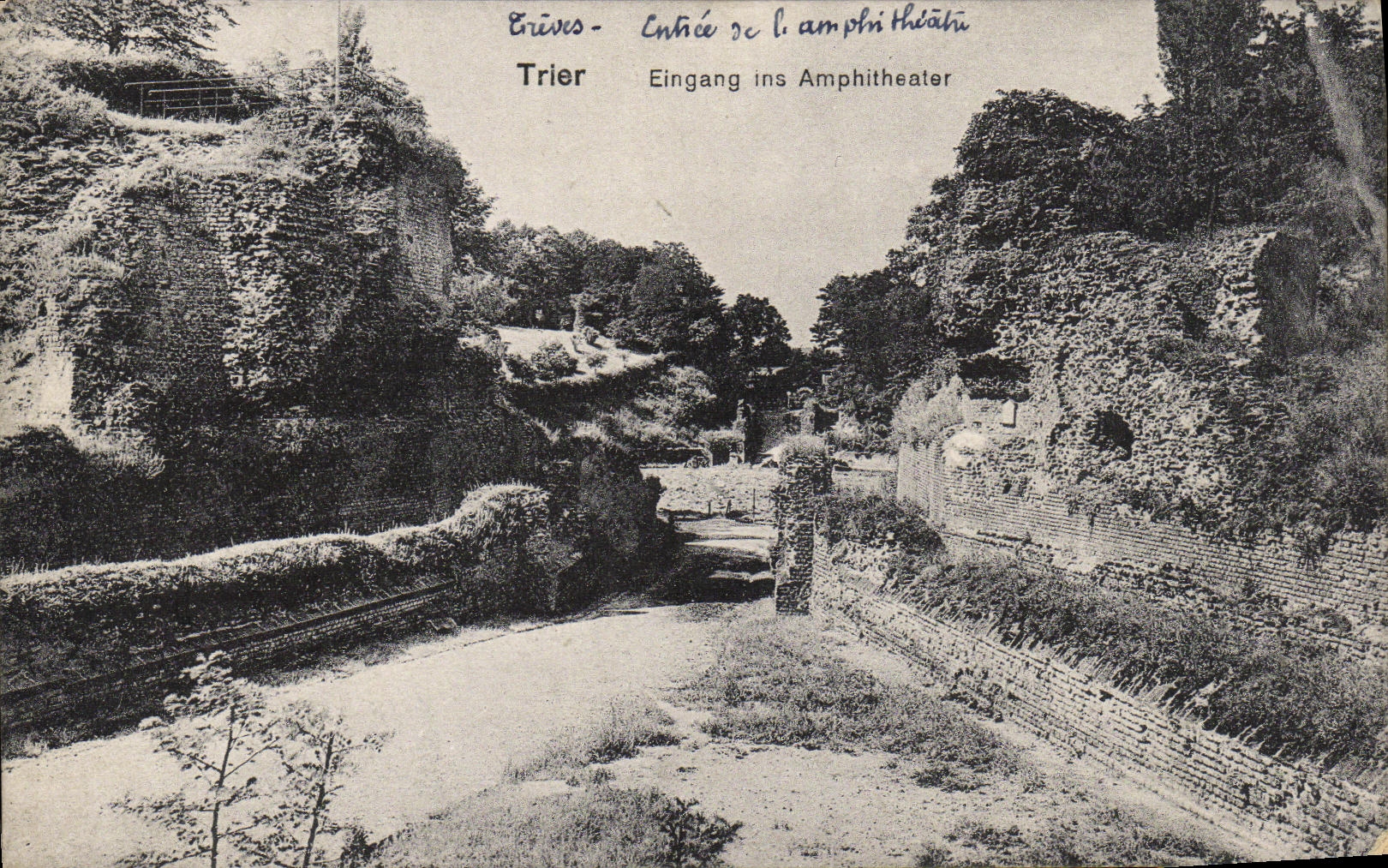 POSTAL de la VENDIMIA para clasificar el anfiteatro del Ins de Eingang