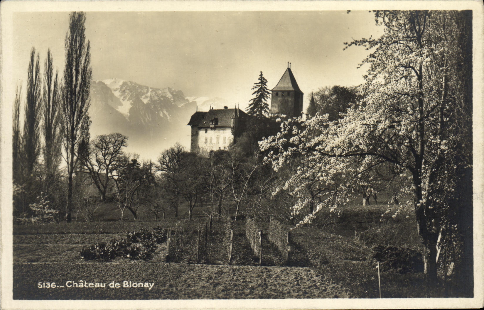 CPA Chateau de Blonay