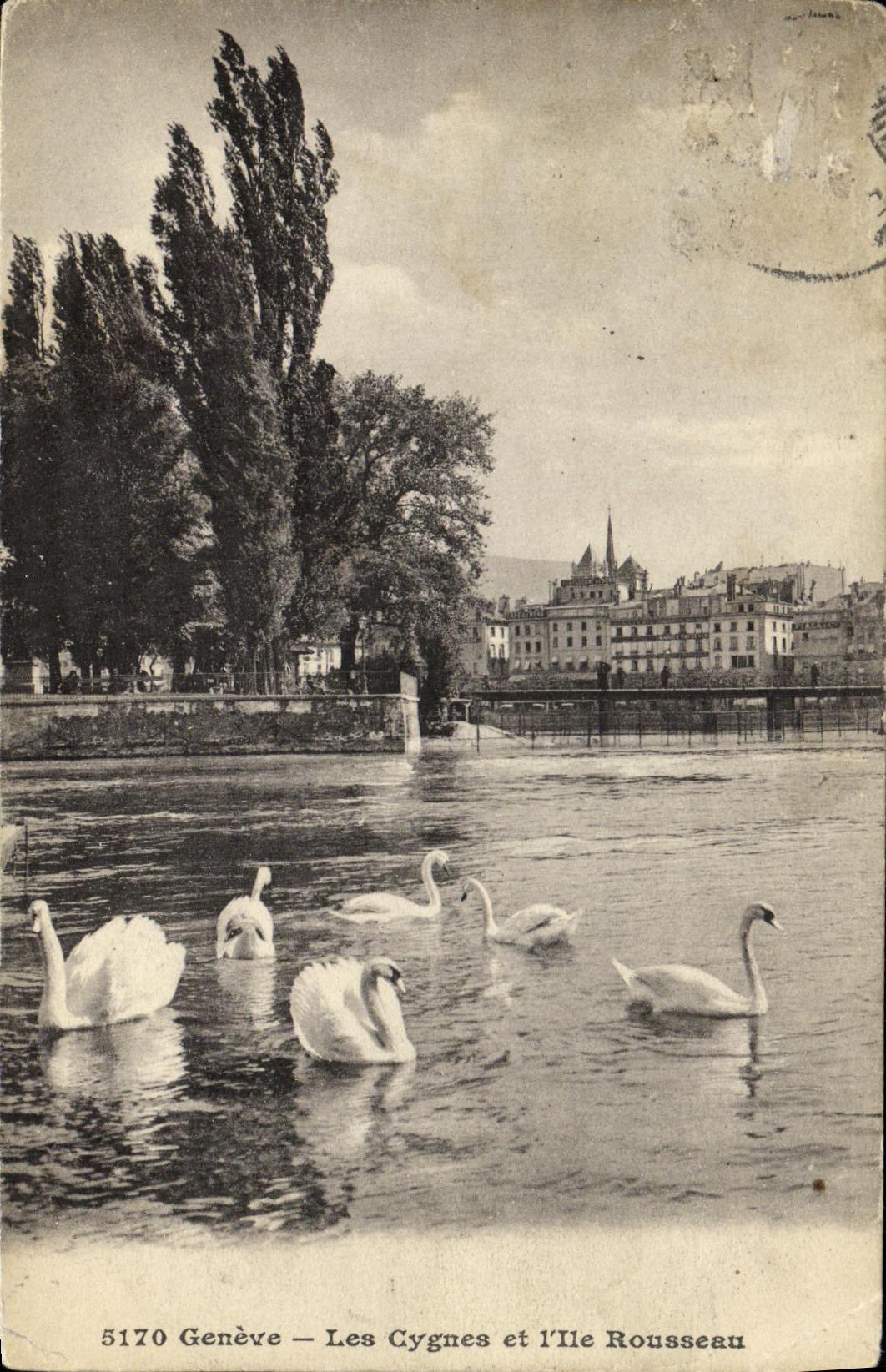 VINTAGE POSTCARD Geneva swans and L island Rousseau Swans