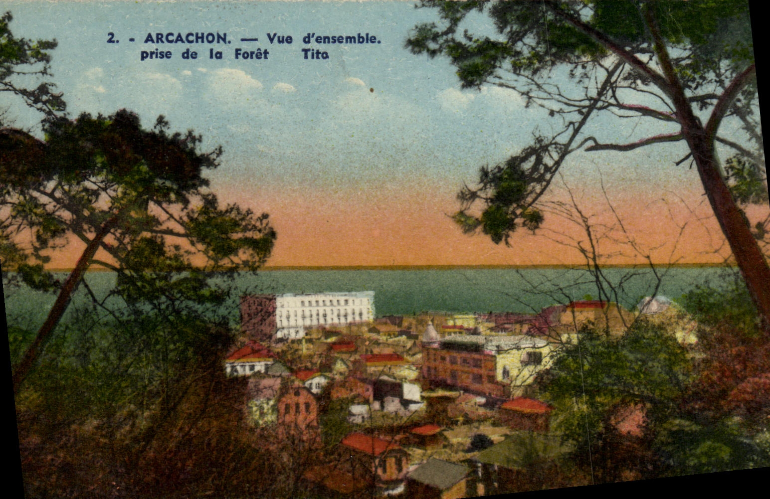 CPA Arcachon vue D Ensemble Prise de la Foret
