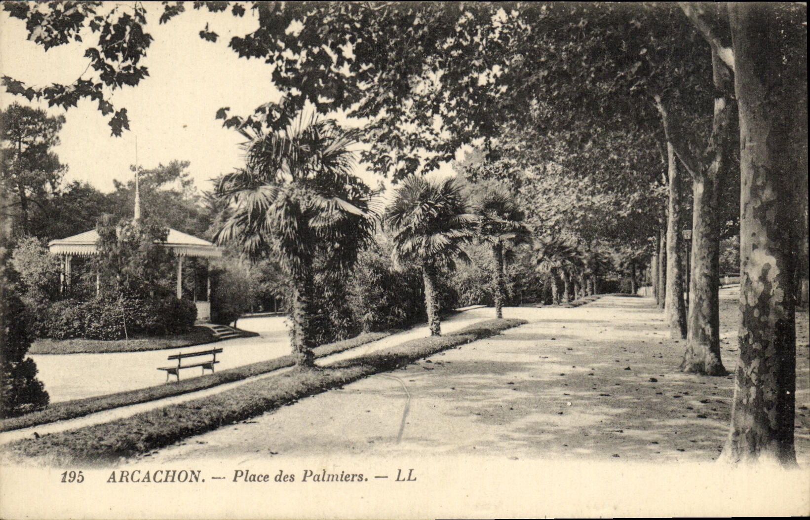 CPA Arcachon Place des Palmiers