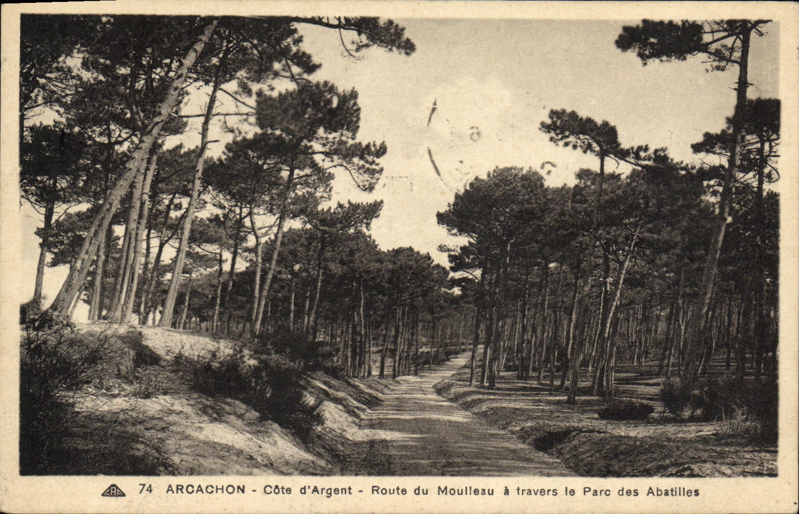 CPA Arcachon Cote d Argent Route du Moulleau a travers le parc des Abatilles