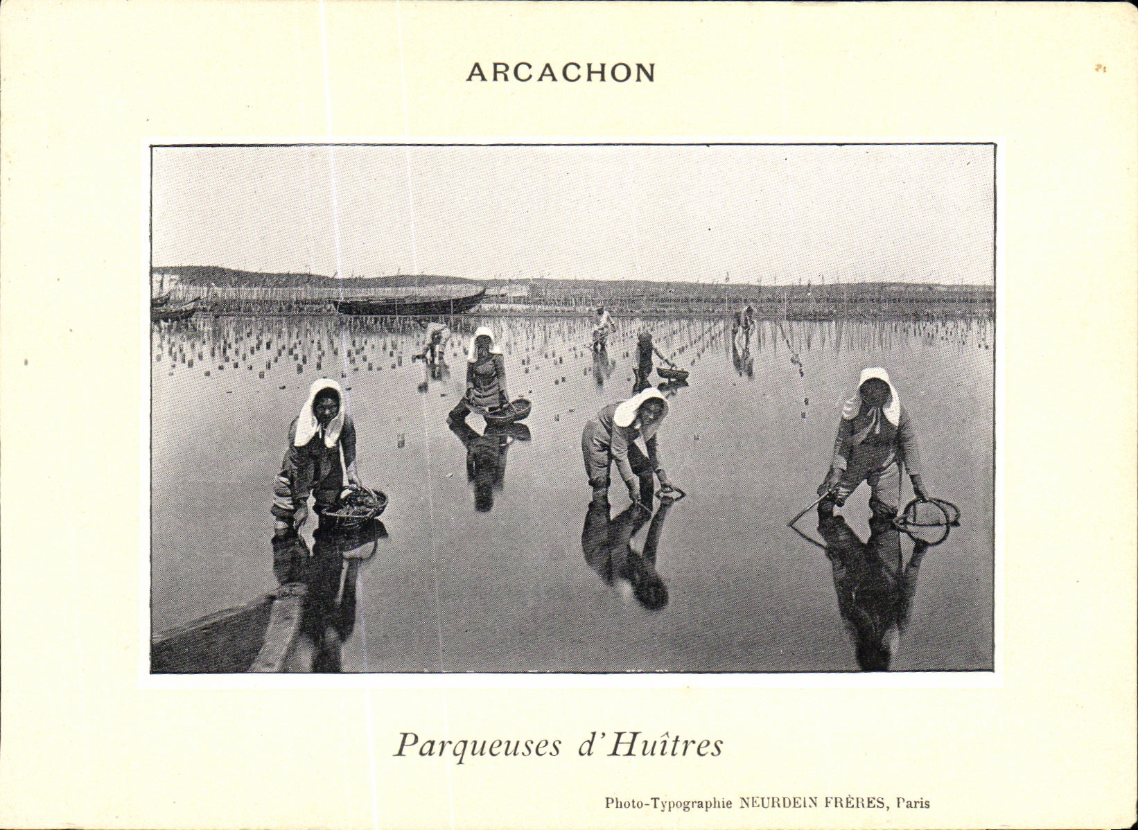 VINTAGE POSTCARD Soula on Sea parqueuses D oysters