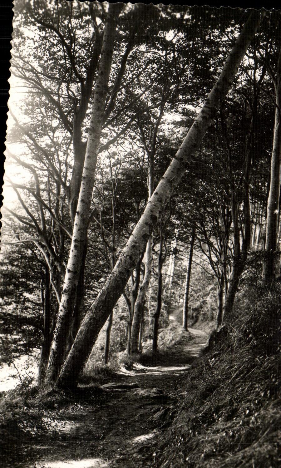 CPA Dinard Chemin de ronde de la Vicomte